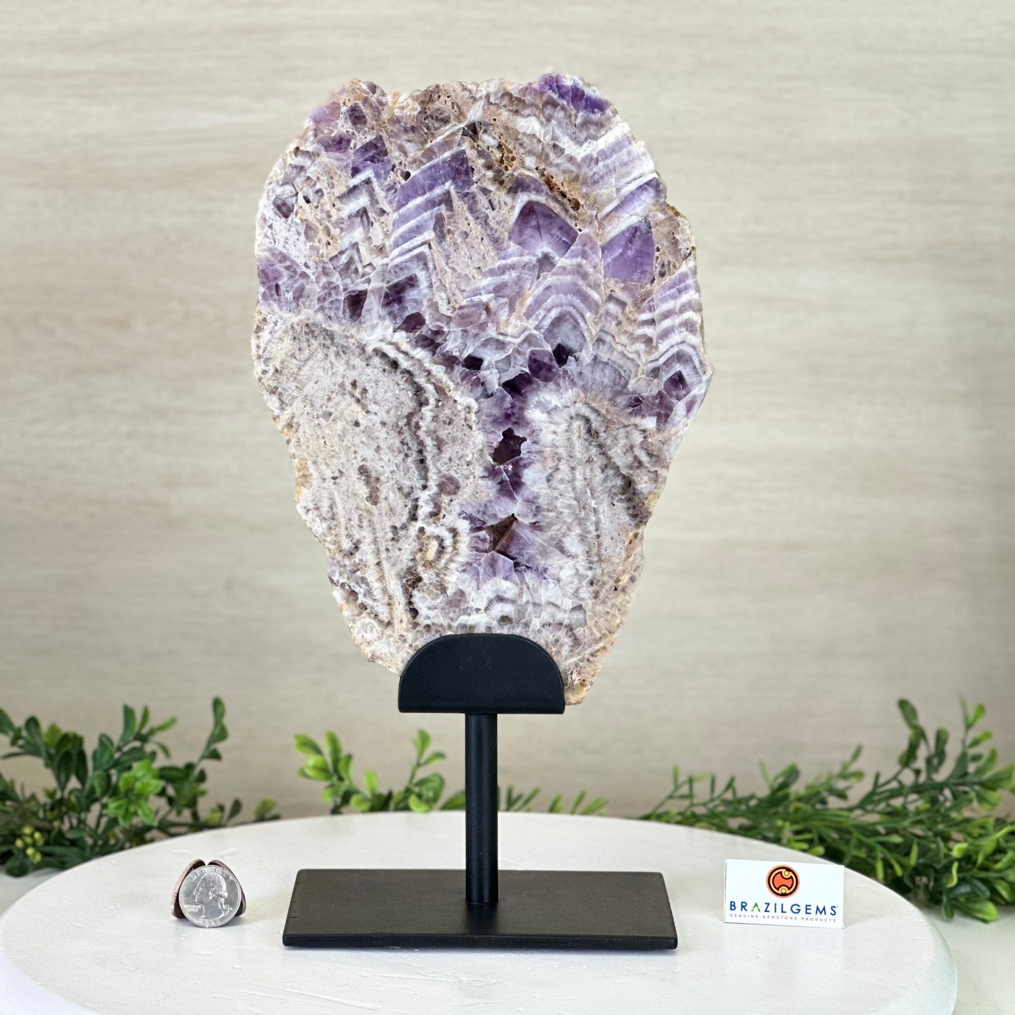 Chevron Amethyst Crystal Slice on a Stand, 4.9 lbs & 13.2" Tall #5621AC - 015 - Brazil GemsBrazil GemsChevron Amethyst Crystal Slice on a Stand, 4.9 lbs & 13.2" Tall #5621AC - 015Slices on Fixed Bases5621AC - 015