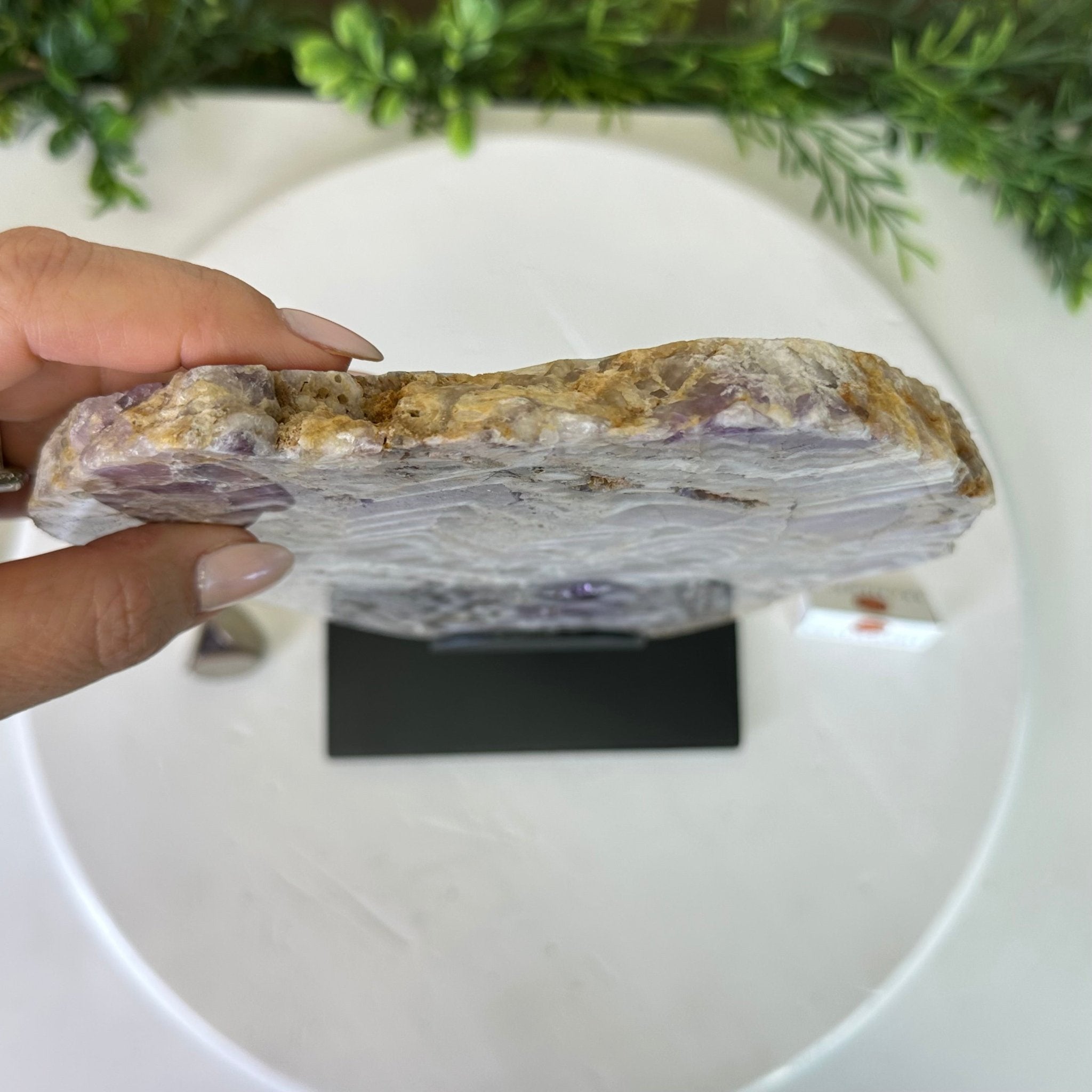 Chevron Amethyst Crystal Slice on a Stand, 4.9 lbs & 13.2" Tall #5621AC - 015 - Brazil GemsBrazil GemsChevron Amethyst Crystal Slice on a Stand, 4.9 lbs & 13.2" Tall #5621AC - 015Slices on Fixed Bases5621AC - 015