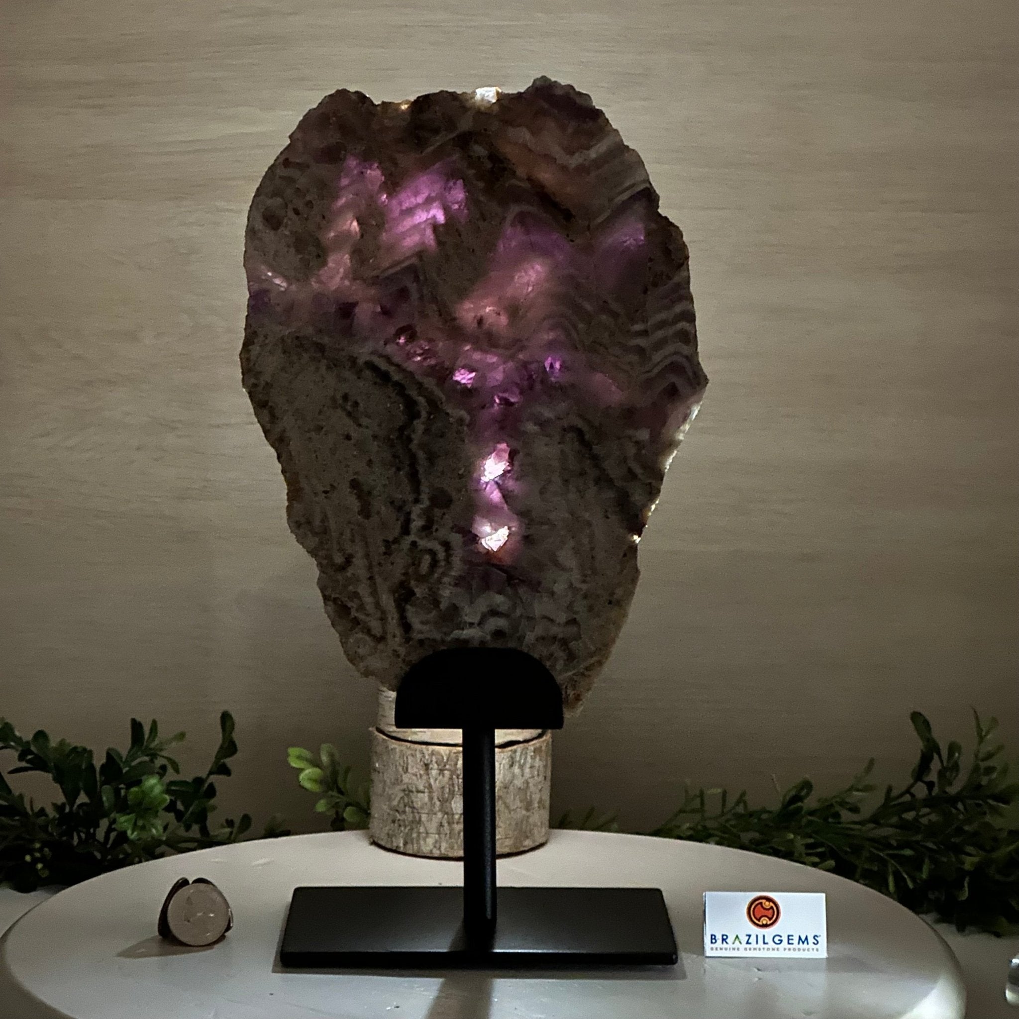 Chevron Amethyst Crystal Slice on a Stand, 4.9 lbs & 13.2" Tall #5621AC - 015 - Brazil GemsBrazil GemsChevron Amethyst Crystal Slice on a Stand, 4.9 lbs & 13.2" Tall #5621AC - 015Slices on Fixed Bases5621AC - 015