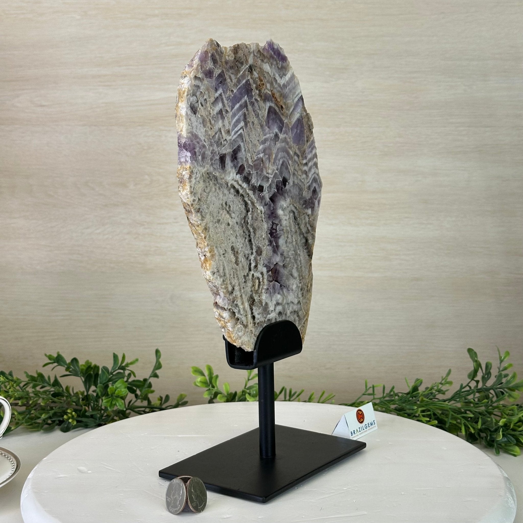 Chevron Amethyst Crystal Slice on a Stand, 4.9 lbs & 13.2" Tall #5621AC - 015 - Brazil GemsBrazil GemsChevron Amethyst Crystal Slice on a Stand, 4.9 lbs & 13.2" Tall #5621AC - 015Slices on Fixed Bases5621AC - 015