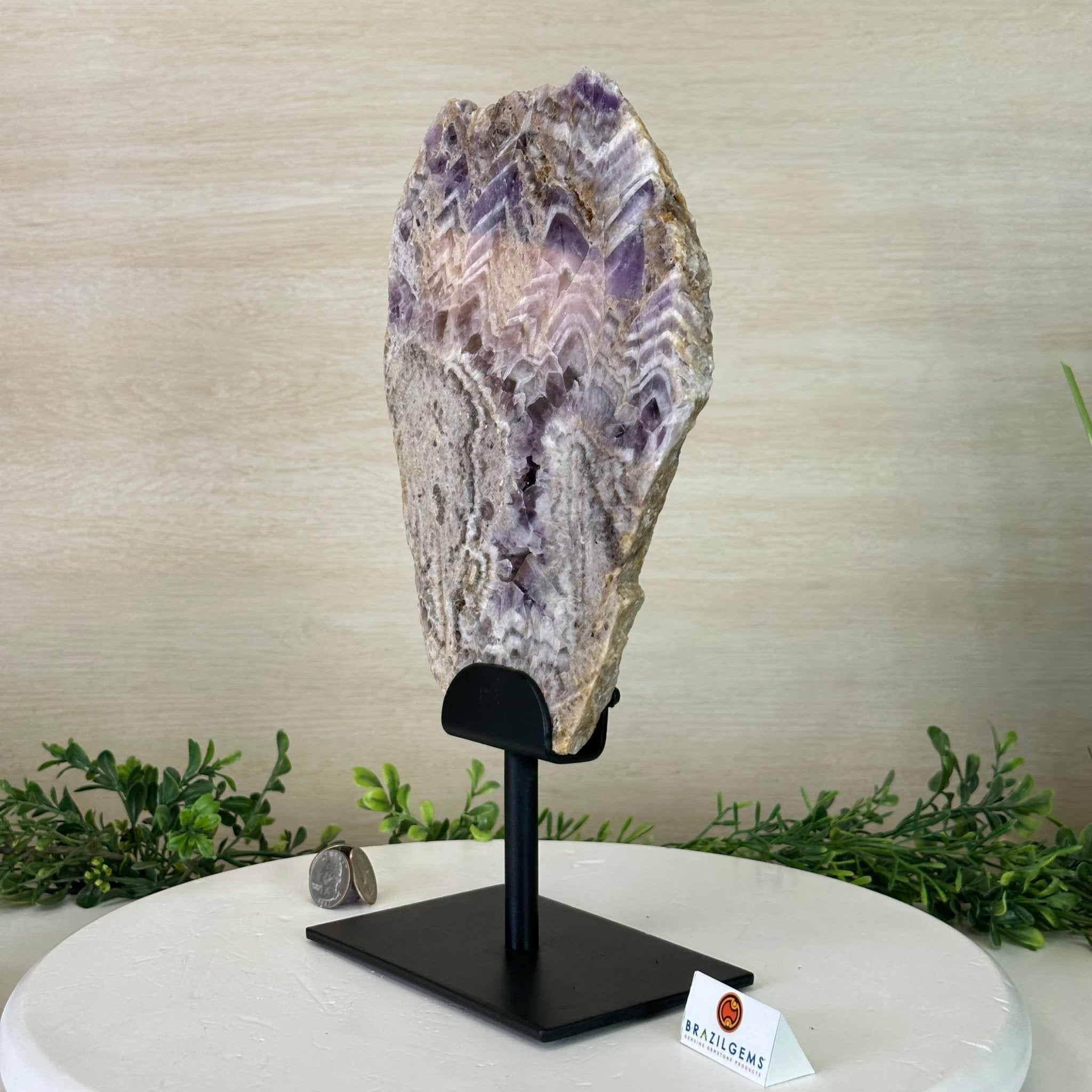 Chevron Amethyst Crystal Slice on a Stand, 4.9 lbs & 13.2" Tall #5621AC - 015 - Brazil GemsBrazil GemsChevron Amethyst Crystal Slice on a Stand, 4.9 lbs & 13.2" Tall #5621AC - 015Slices on Fixed Bases5621AC - 015