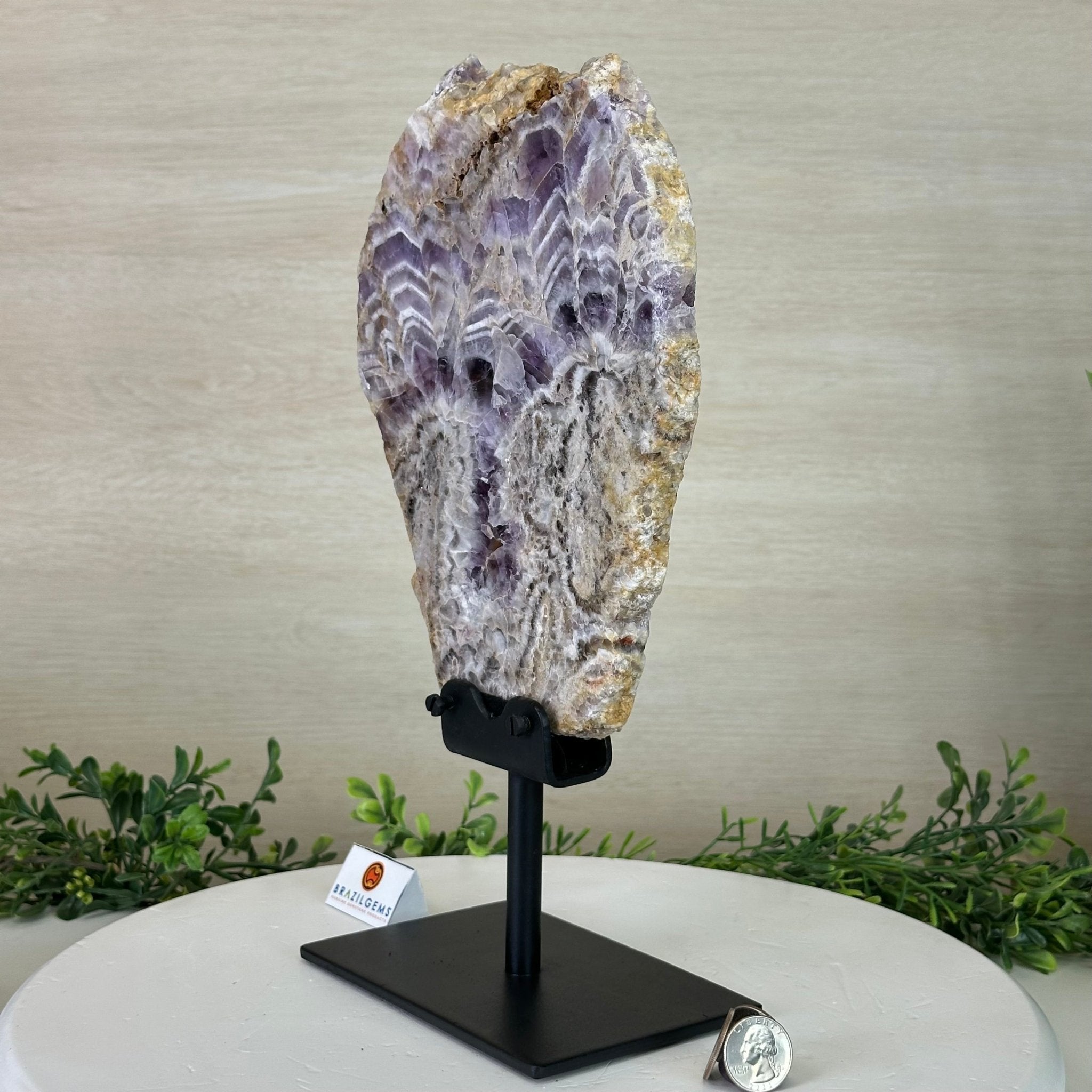 Chevron Amethyst Crystal Slice on a Stand, 4.9 lbs & 13.2" Tall #5621AC - 015 - Brazil GemsBrazil GemsChevron Amethyst Crystal Slice on a Stand, 4.9 lbs & 13.2" Tall #5621AC - 015Slices on Fixed Bases5621AC - 015