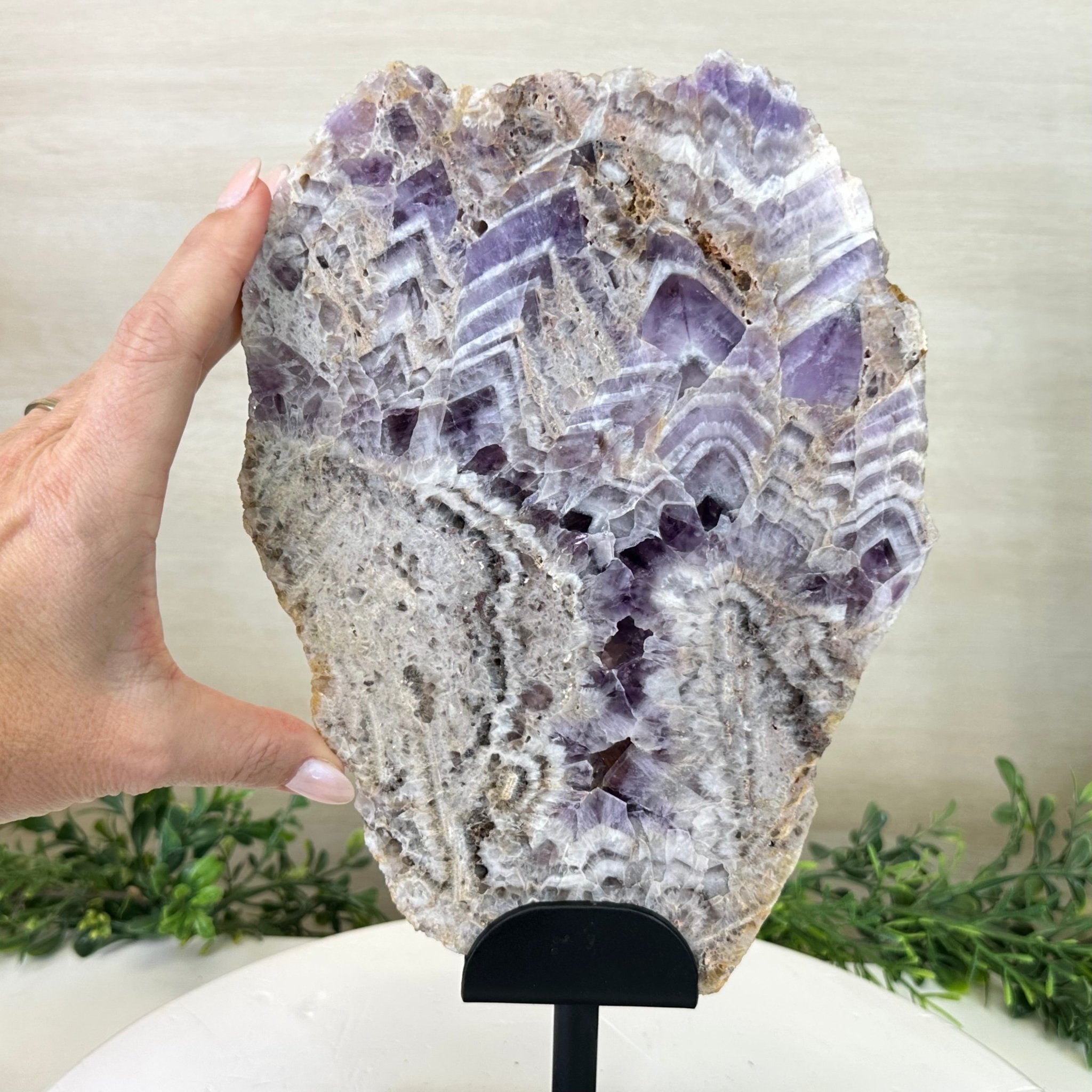 Chevron Amethyst Crystal Slice on a Stand, 4.9 lbs & 13.2" Tall #5621AC - 015 - Brazil GemsBrazil GemsChevron Amethyst Crystal Slice on a Stand, 4.9 lbs & 13.2" Tall #5621AC - 015Slices on Fixed Bases5621AC - 015