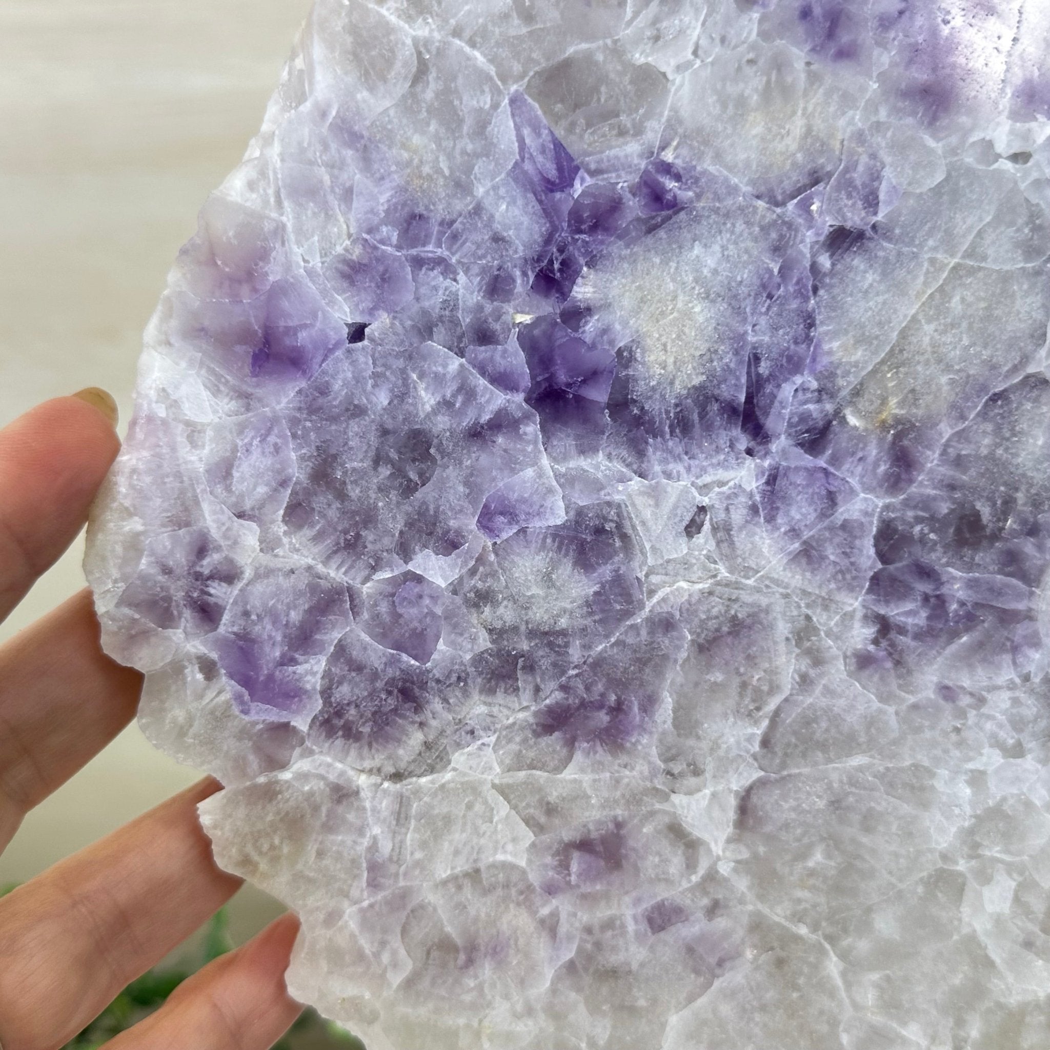 Chevron Amethyst Crystal Slice on a Stand, 4.9 lbs & 13.8" Tall #5621AC - 014 - Brazil GemsBrazil GemsChevron Amethyst Crystal Slice on a Stand, 4.9 lbs & 13.8" Tall #5621AC - 014Slices on Fixed Bases5621AC - 014