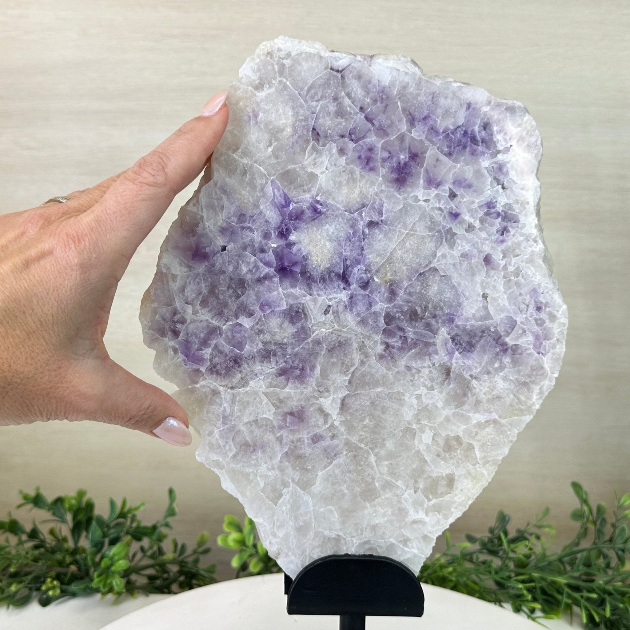 Chevron Amethyst Crystal Slice on a Stand, 4.9 lbs & 13.8" Tall #5621AC - 014 - Brazil GemsBrazil GemsChevron Amethyst Crystal Slice on a Stand, 4.9 lbs & 13.8" Tall #5621AC - 014Slices on Fixed Bases5621AC - 014