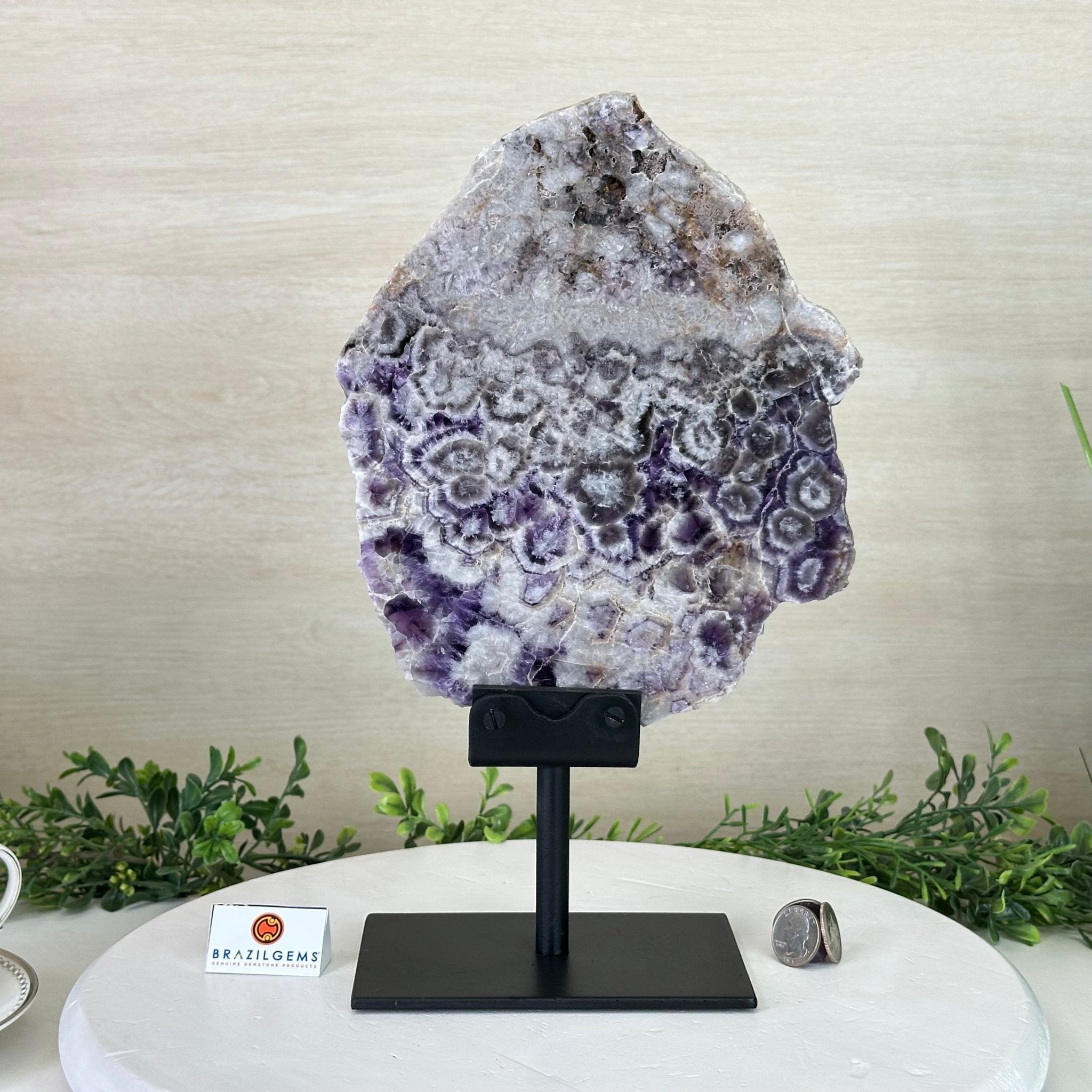 Chevron Amethyst Crystal Slice on a Stand, 5.1 lbs & 13.4" Tall #5621AC - 016 - Brazil GemsBrazil GemsChevron Amethyst Crystal Slice on a Stand, 5.1 lbs & 13.4" Tall #5621AC - 016Slices on Fixed Bases5621AC - 016