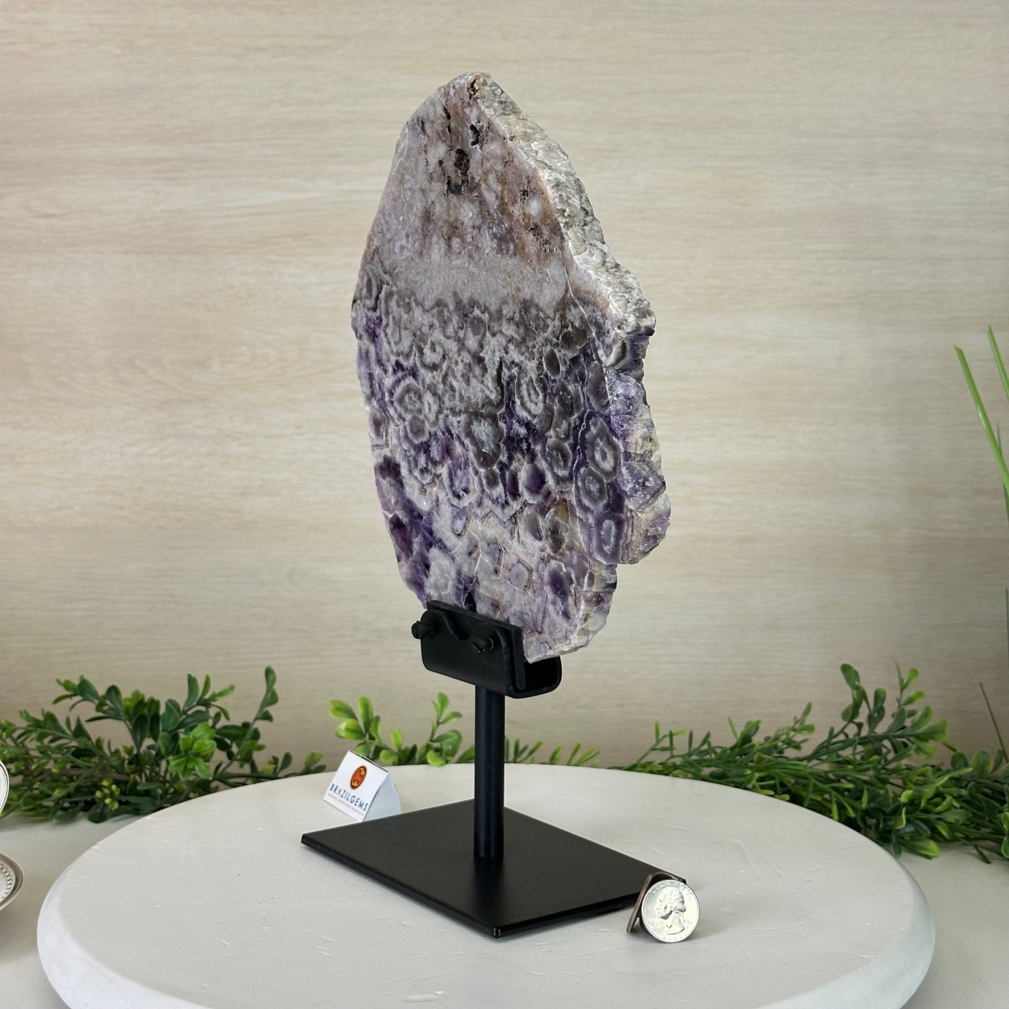 Chevron Amethyst Crystal Slice on a Stand, 5.1 lbs & 13.4" Tall #5621AC - 016 - Brazil GemsBrazil GemsChevron Amethyst Crystal Slice on a Stand, 5.1 lbs & 13.4" Tall #5621AC - 016Slices on Fixed Bases5621AC - 016