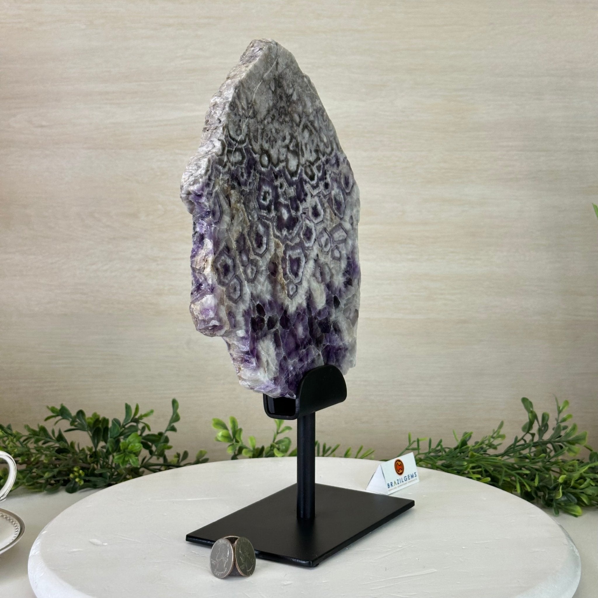 Chevron Amethyst Crystal Slice on a Stand, 5.1 lbs & 13.4" Tall #5621AC - 016 - Brazil GemsBrazil GemsChevron Amethyst Crystal Slice on a Stand, 5.1 lbs & 13.4" Tall #5621AC - 016Slices on Fixed Bases5621AC - 016