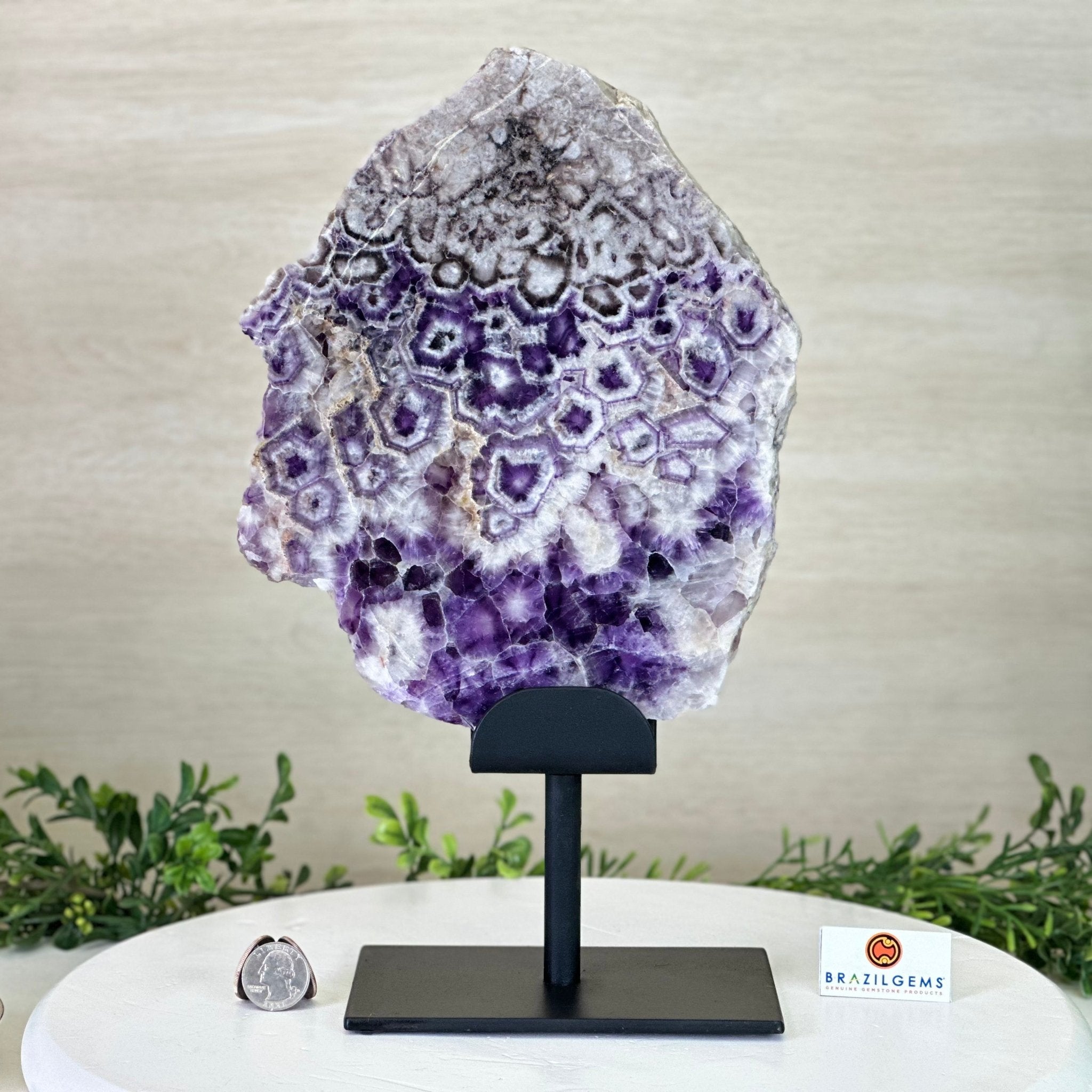 Chevron Amethyst Crystal Slice on a Stand, 5.1 lbs & 13.4" Tall #5621AC - 016 - Brazil GemsBrazil GemsChevron Amethyst Crystal Slice on a Stand, 5.1 lbs & 13.4" Tall #5621AC - 016Slices on Fixed Bases5621AC - 016