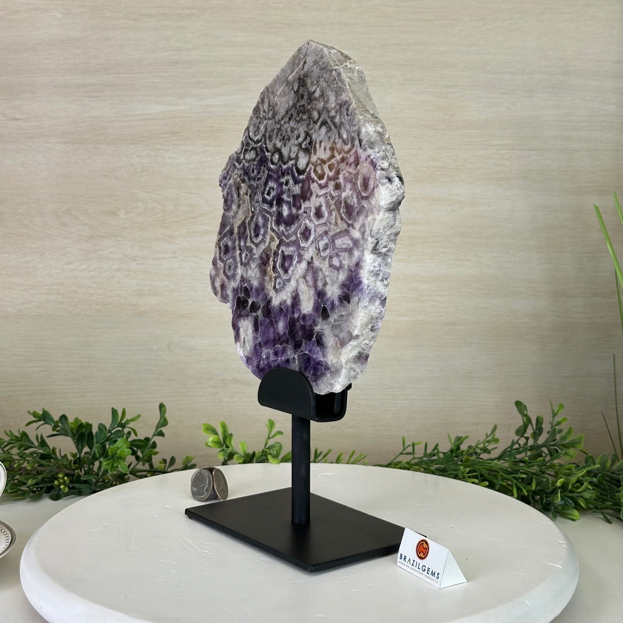 Chevron Amethyst Crystal Slice on a Stand, 5.1 lbs & 13.4" Tall #5621AC - 016 - Brazil GemsBrazil GemsChevron Amethyst Crystal Slice on a Stand, 5.1 lbs & 13.4" Tall #5621AC - 016Slices on Fixed Bases5621AC - 016