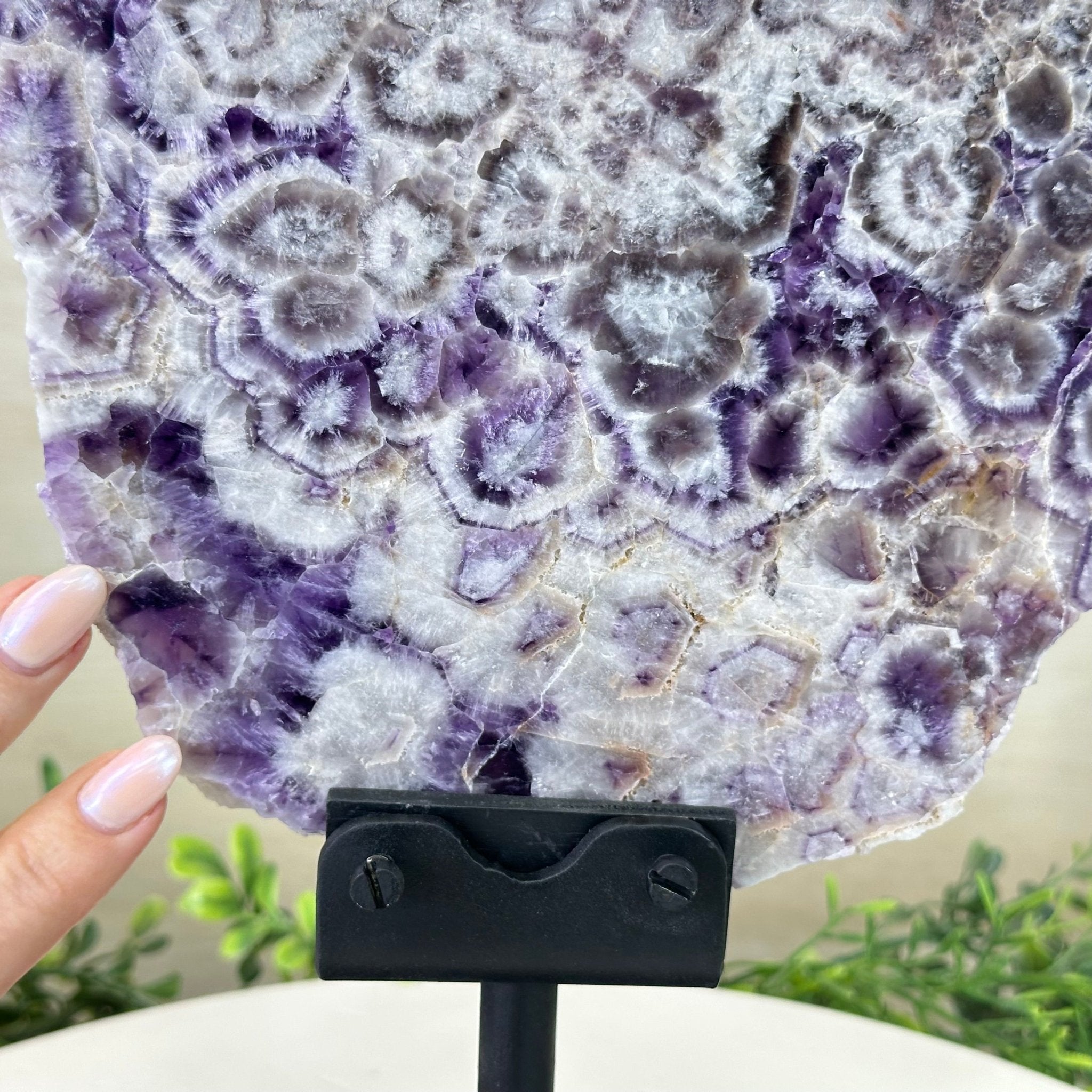 Chevron Amethyst Crystal Slice on a Stand, 5.1 lbs & 13.4" Tall #5621AC - 016 - Brazil GemsBrazil GemsChevron Amethyst Crystal Slice on a Stand, 5.1 lbs & 13.4" Tall #5621AC - 016Slices on Fixed Bases5621AC - 016