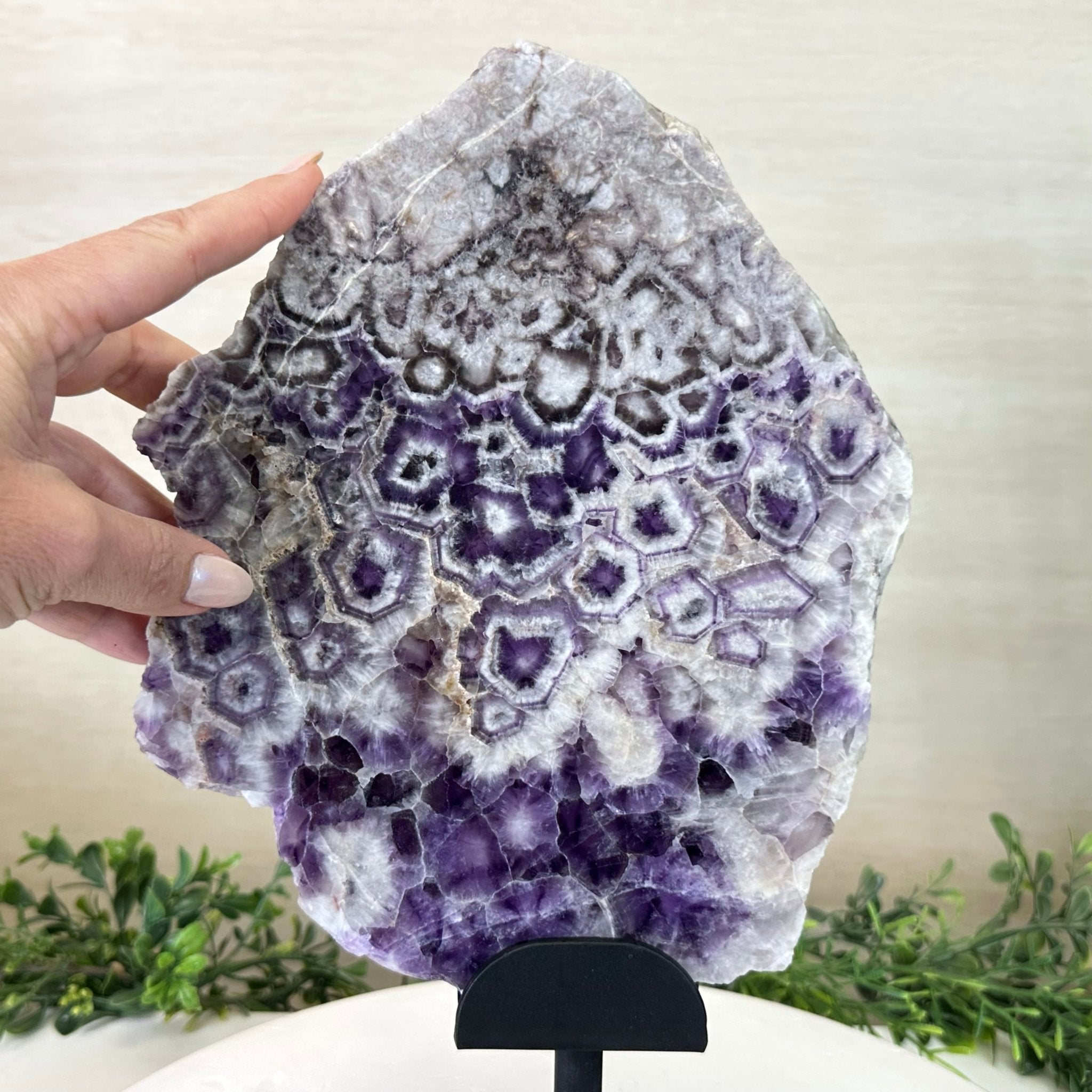 Chevron Amethyst Crystal Slice on a Stand, 5.1 lbs & 13.4" Tall #5621AC - 016 - Brazil GemsBrazil GemsChevron Amethyst Crystal Slice on a Stand, 5.1 lbs & 13.4" Tall #5621AC - 016Slices on Fixed Bases5621AC - 016