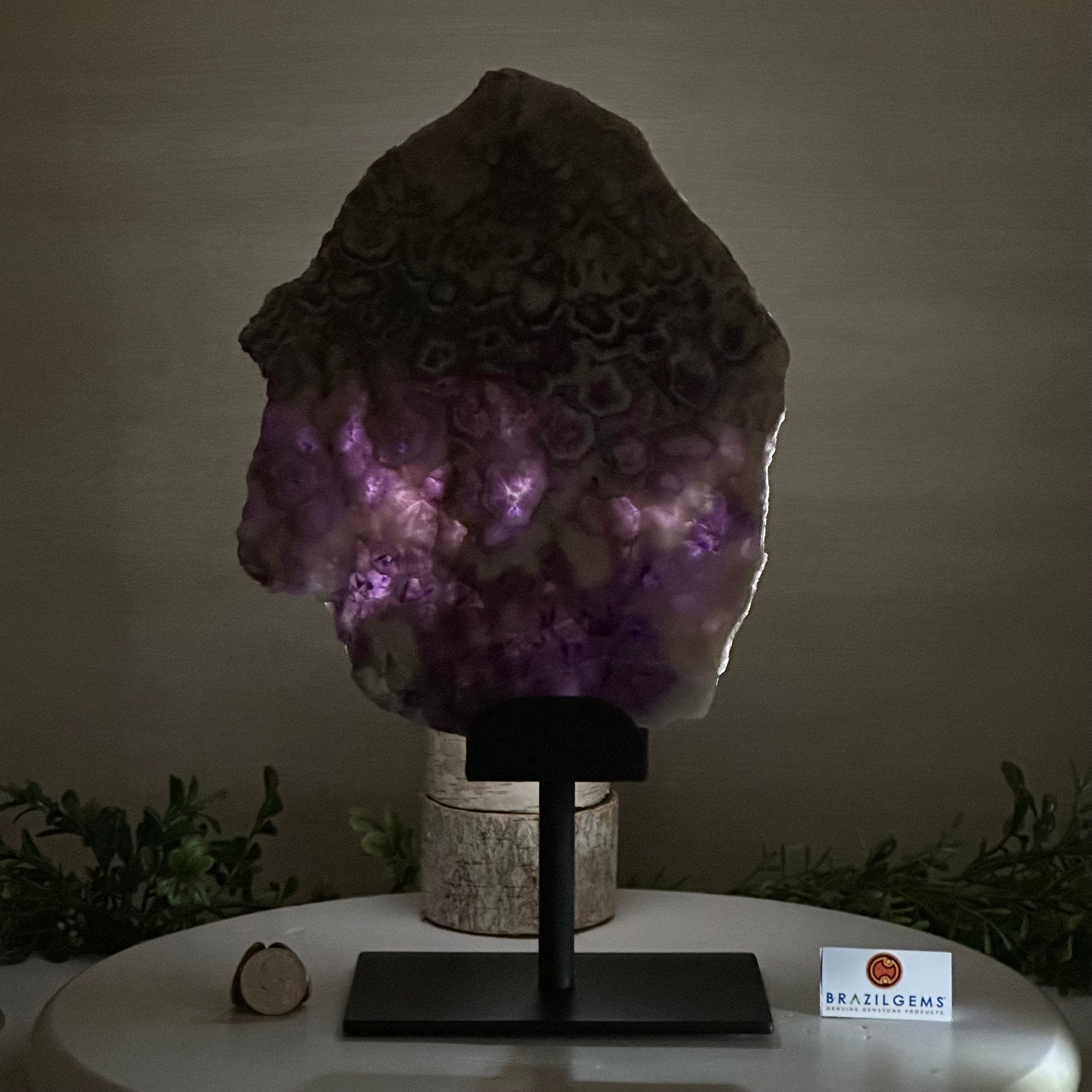 Chevron Amethyst Crystal Slice on a Stand, 5.1 lbs & 13.4" Tall #5621AC - 016 - Brazil GemsBrazil GemsChevron Amethyst Crystal Slice on a Stand, 5.1 lbs & 13.4" Tall #5621AC - 016Slices on Fixed Bases5621AC - 016