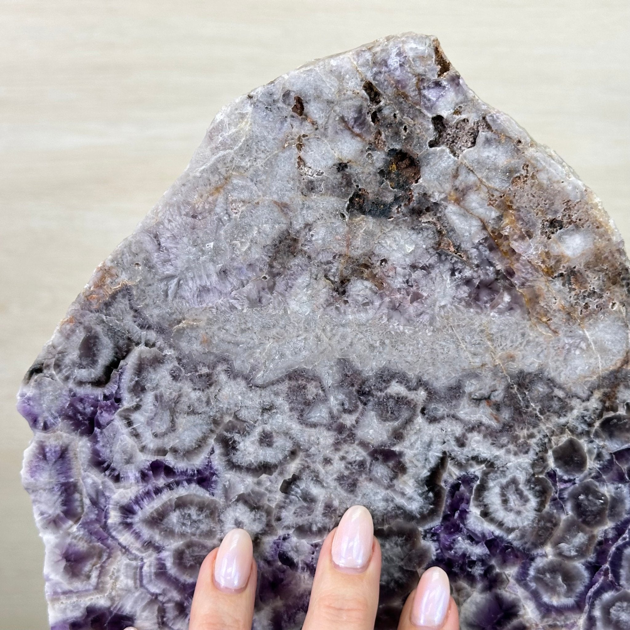 Chevron Amethyst Crystal Slice on a Stand, 5.1 lbs & 13.4" Tall #5621AC - 016 - Brazil GemsBrazil GemsChevron Amethyst Crystal Slice on a Stand, 5.1 lbs & 13.4" Tall #5621AC - 016Slices on Fixed Bases5621AC - 016