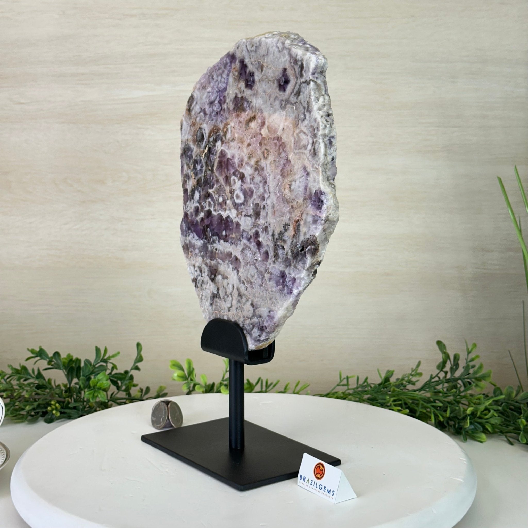 Chevron Amethyst Crystal Slice on a Stand, 5.2 lbs & 13.6" Tall #5621AC - 017 - Brazil GemsBrazil GemsChevron Amethyst Crystal Slice on a Stand, 5.2 lbs & 13.6" Tall #5621AC - 017Slices on Fixed Bases5621AC - 017