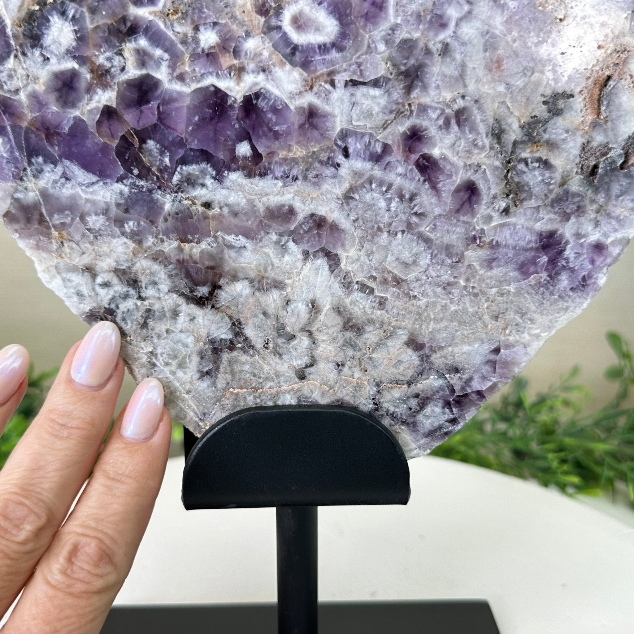 Chevron Amethyst Crystal Slice on a Stand, 5.2 lbs & 13.6" Tall #5621AC - 017 - Brazil GemsBrazil GemsChevron Amethyst Crystal Slice on a Stand, 5.2 lbs & 13.6" Tall #5621AC - 017Slices on Fixed Bases5621AC - 017