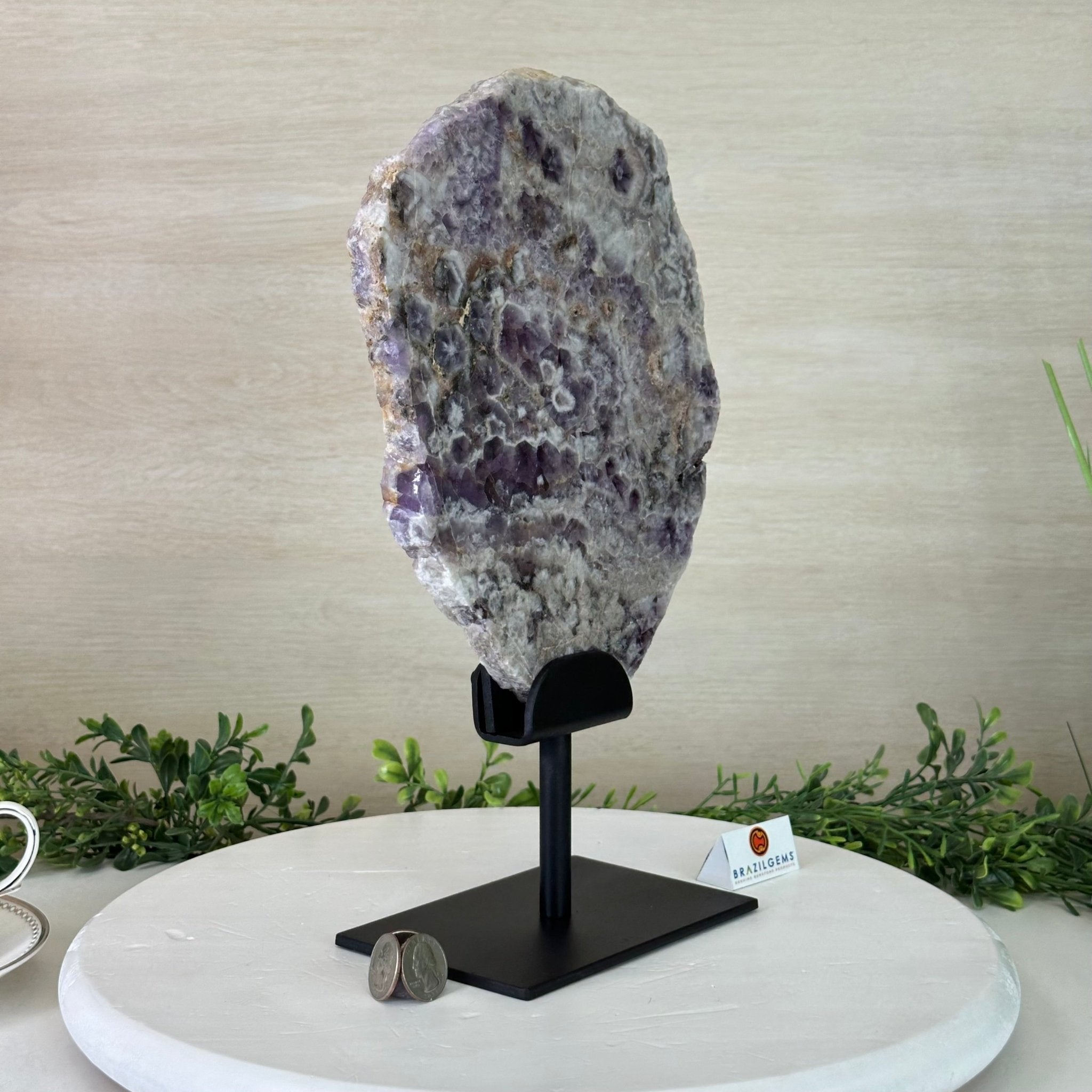 Chevron Amethyst Crystal Slice on a Stand, 5.2 lbs & 13.6" Tall #5621AC - 017 - Brazil GemsBrazil GemsChevron Amethyst Crystal Slice on a Stand, 5.2 lbs & 13.6" Tall #5621AC - 017Slices on Fixed Bases5621AC - 017