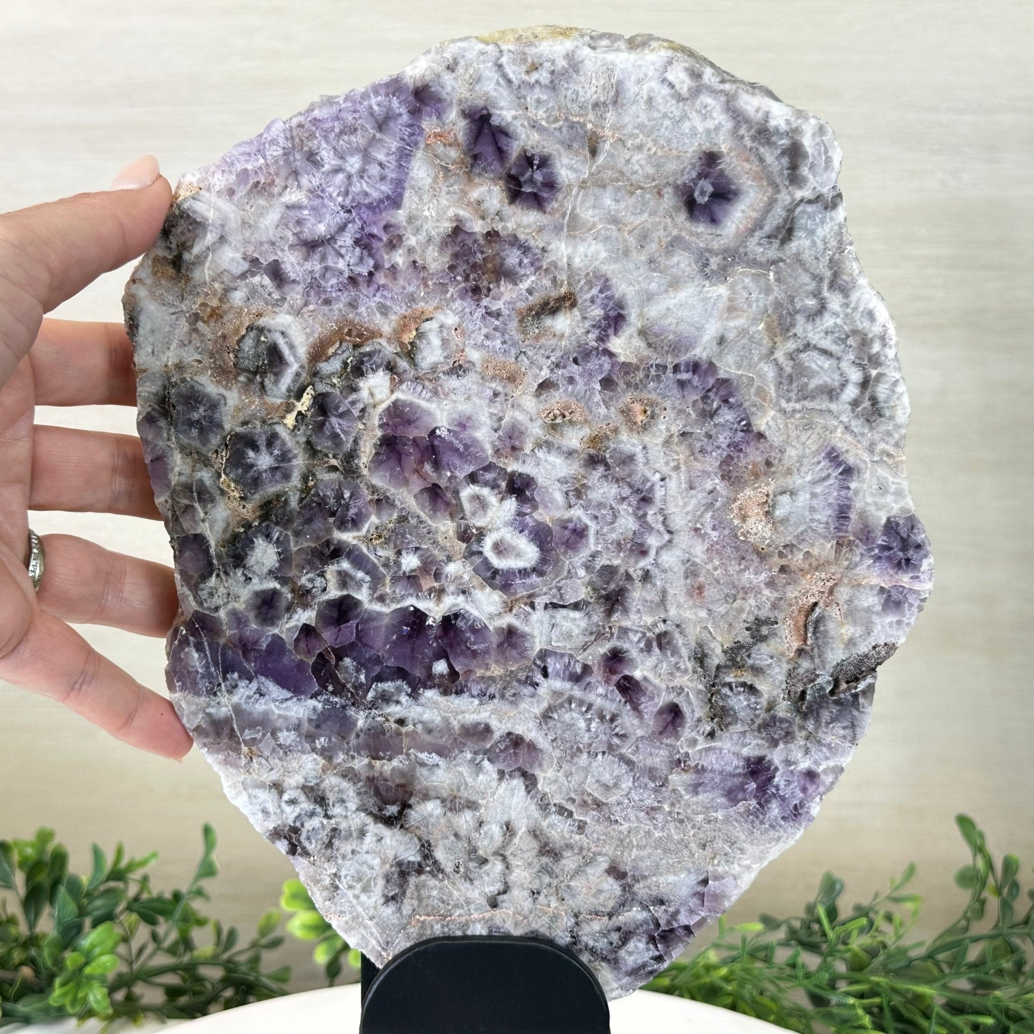 Chevron Amethyst Crystal Slice on a Stand, 5.2 lbs & 13.6" Tall #5621AC - 017 - Brazil GemsBrazil GemsChevron Amethyst Crystal Slice on a Stand, 5.2 lbs & 13.6" Tall #5621AC - 017Slices on Fixed Bases5621AC - 017