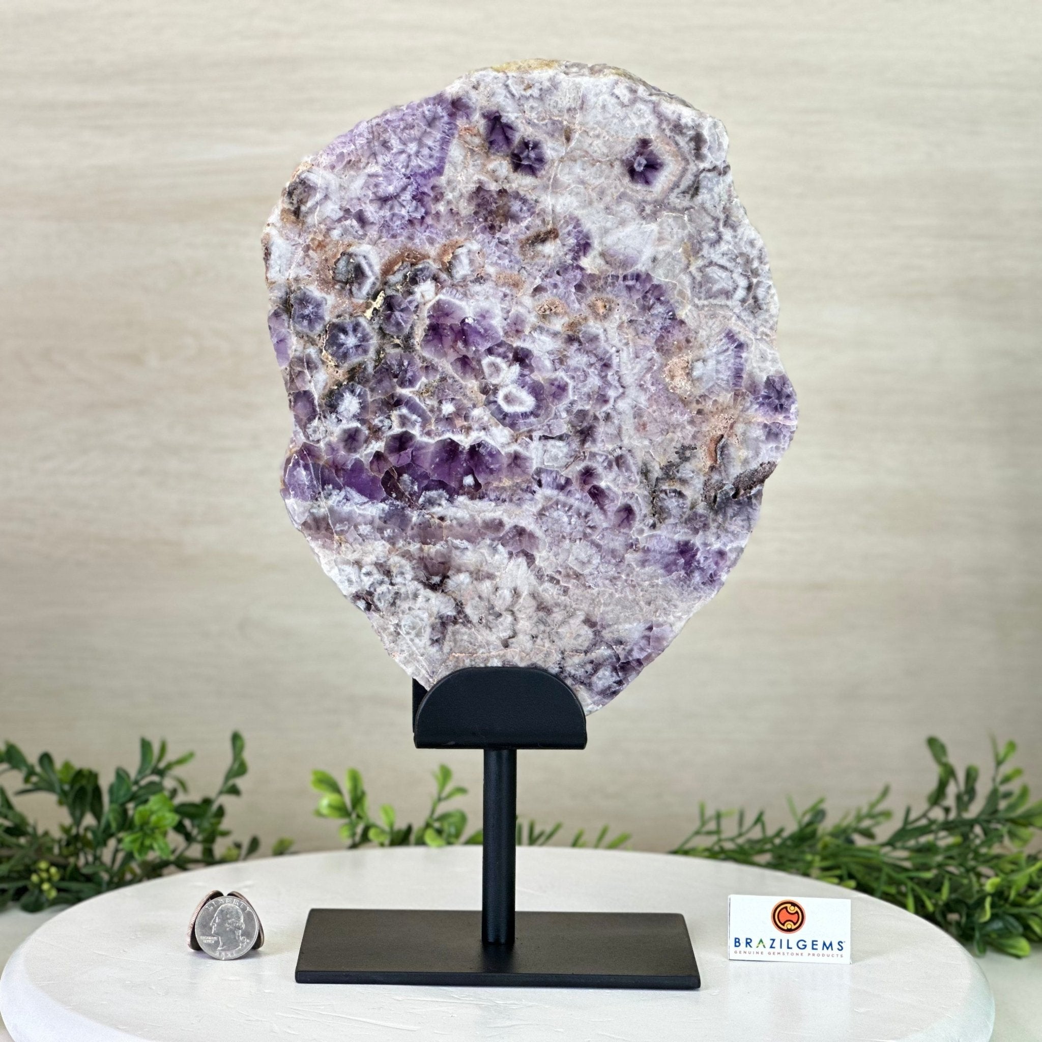 Chevron Amethyst Crystal Slice on a Stand, 5.2 lbs & 13.6" Tall #5621AC - 017 - Brazil GemsBrazil GemsChevron Amethyst Crystal Slice on a Stand, 5.2 lbs & 13.6" Tall #5621AC - 017Slices on Fixed Bases5621AC - 017