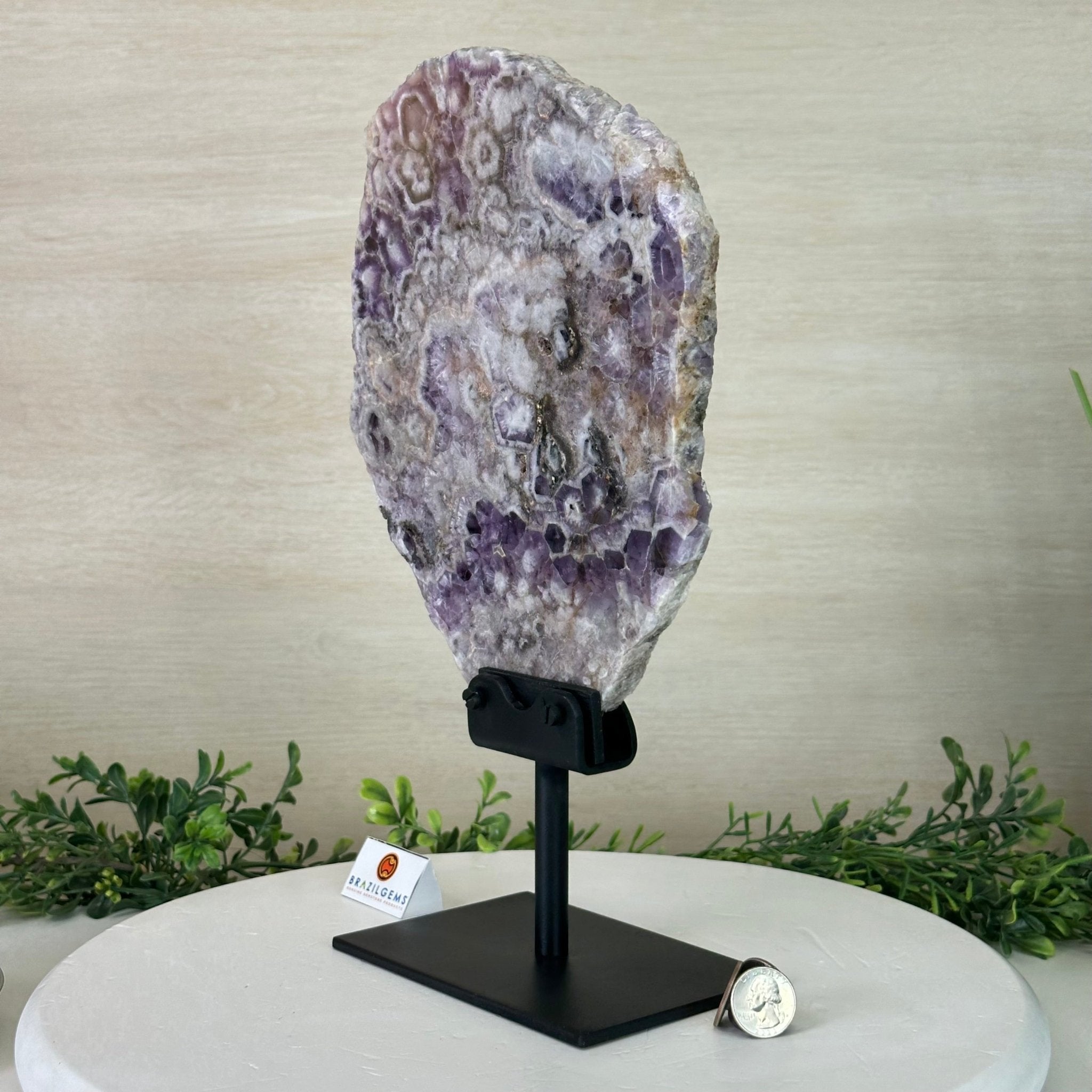 Chevron Amethyst Crystal Slice on a Stand, 5.2 lbs & 13.6" Tall #5621AC - 017 - Brazil GemsBrazil GemsChevron Amethyst Crystal Slice on a Stand, 5.2 lbs & 13.6" Tall #5621AC - 017Slices on Fixed Bases5621AC - 017