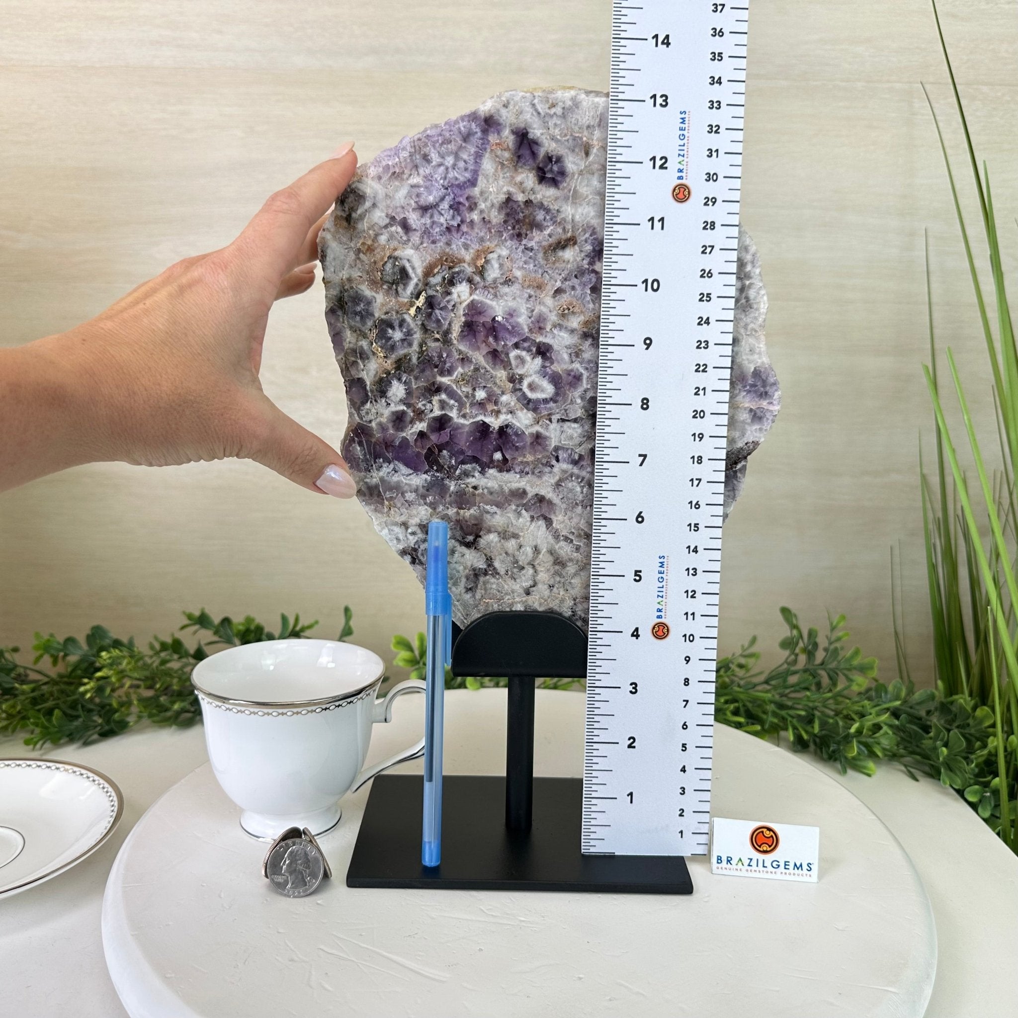 Chevron Amethyst Crystal Slice on a Stand, 5.2 lbs & 13.6" Tall #5621AC - 017 - Brazil GemsBrazil GemsChevron Amethyst Crystal Slice on a Stand, 5.2 lbs & 13.6" Tall #5621AC - 017Slices on Fixed Bases5621AC - 017