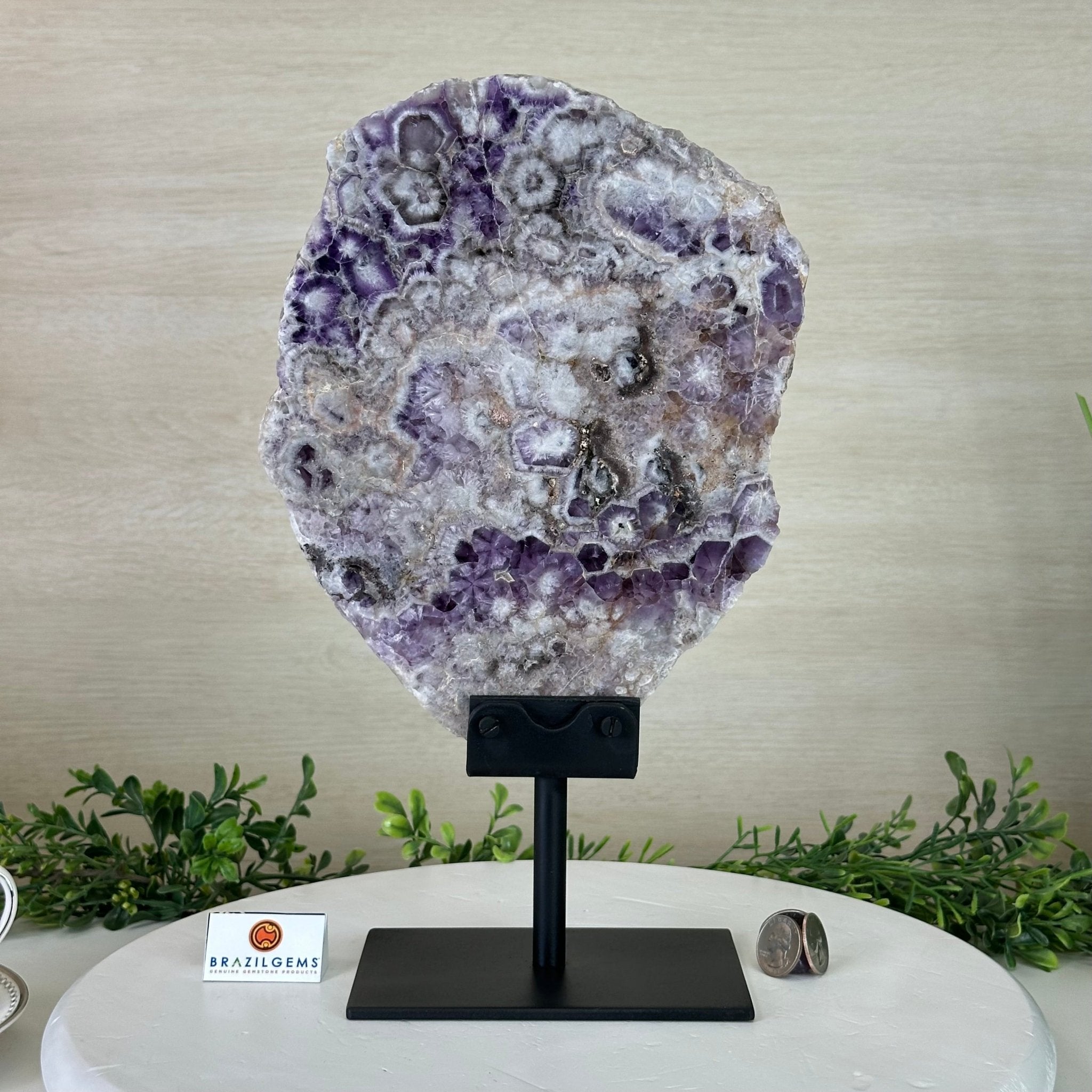 Chevron Amethyst Crystal Slice on a Stand, 5.2 lbs & 13.6" Tall #5621AC - 017 - Brazil GemsBrazil GemsChevron Amethyst Crystal Slice on a Stand, 5.2 lbs & 13.6" Tall #5621AC - 017Slices on Fixed Bases5621AC - 017