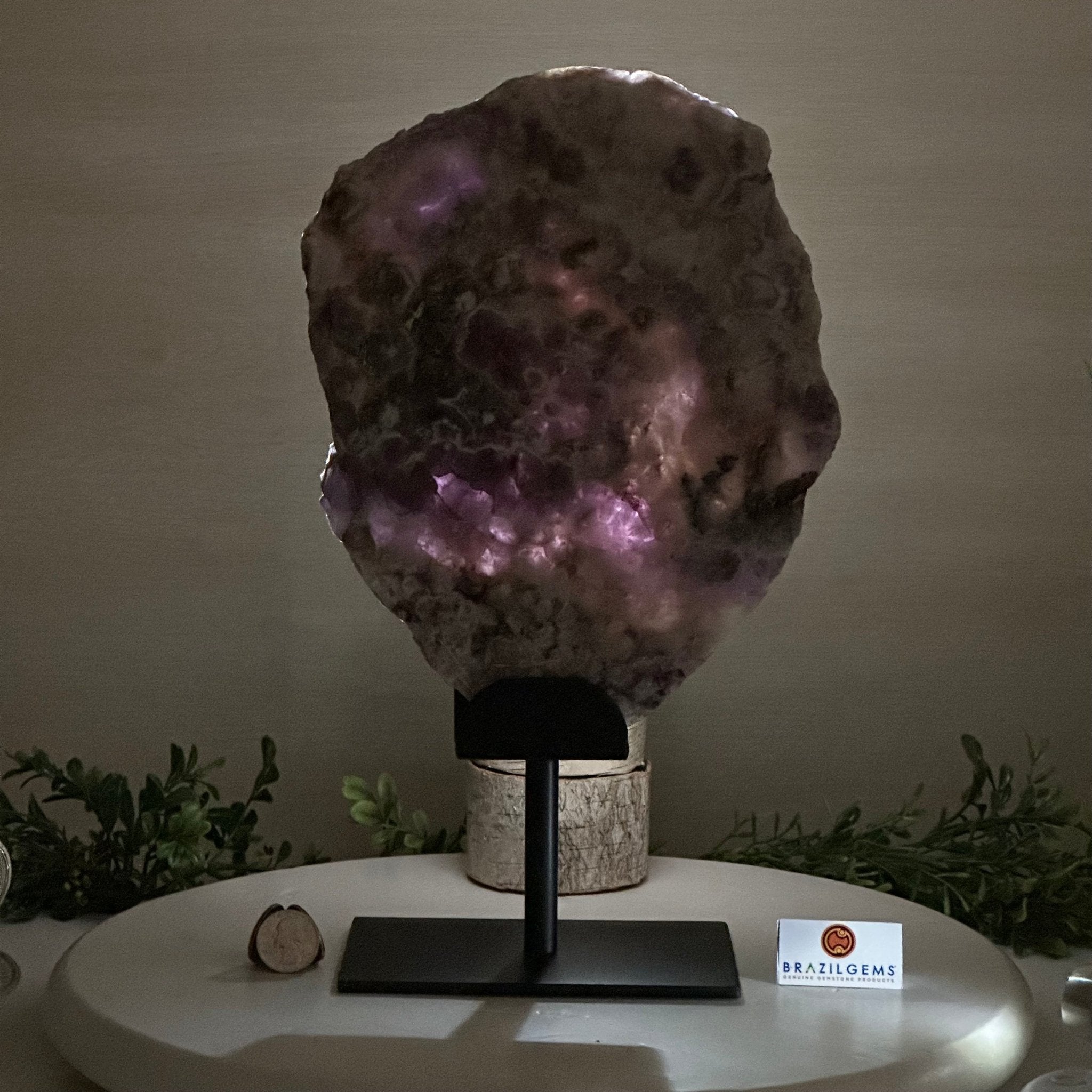 Chevron Amethyst Crystal Slice on a Stand, 5.2 lbs & 13.6" Tall #5621AC - 017 - Brazil GemsBrazil GemsChevron Amethyst Crystal Slice on a Stand, 5.2 lbs & 13.6" Tall #5621AC - 017Slices on Fixed Bases5621AC - 017