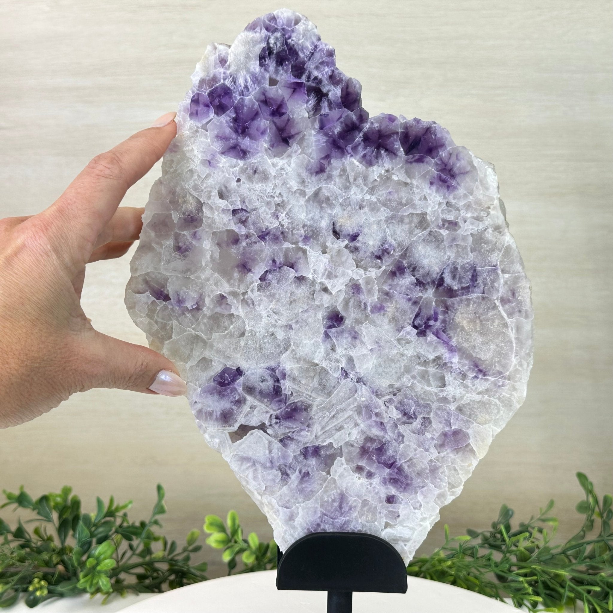 Chevron Amethyst Crystal Slice on a Stand, 5.3 lbs & 14.4" Tall #5621AC - 018 - Brazil GemsBrazil GemsChevron Amethyst Crystal Slice on a Stand, 5.3 lbs & 14.4" Tall #5621AC - 018Slices on Fixed Bases5621AC - 018