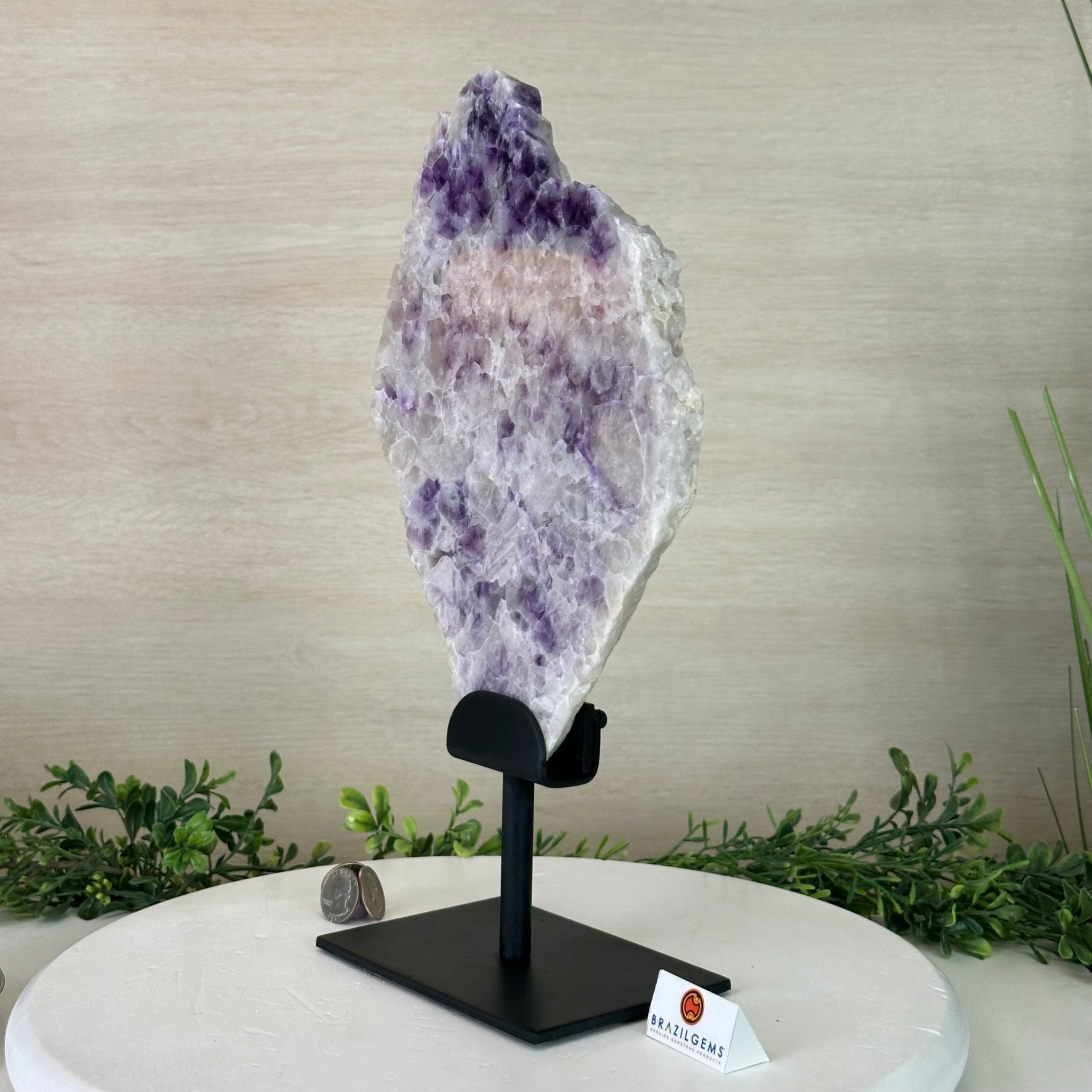 Chevron Amethyst Crystal Slice on a Stand, 5.3 lbs & 14.4" Tall #5621AC - 018 - Brazil GemsBrazil GemsChevron Amethyst Crystal Slice on a Stand, 5.3 lbs & 14.4" Tall #5621AC - 018Slices on Fixed Bases5621AC - 018