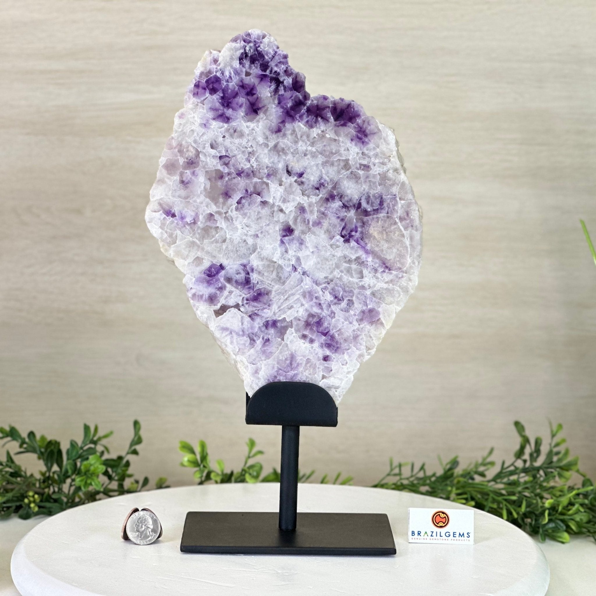 Chevron Amethyst Crystal Slice on a Stand, 5.3 lbs & 14.4" Tall #5621AC - 018 - Brazil GemsBrazil GemsChevron Amethyst Crystal Slice on a Stand, 5.3 lbs & 14.4" Tall #5621AC - 018Slices on Fixed Bases5621AC - 018