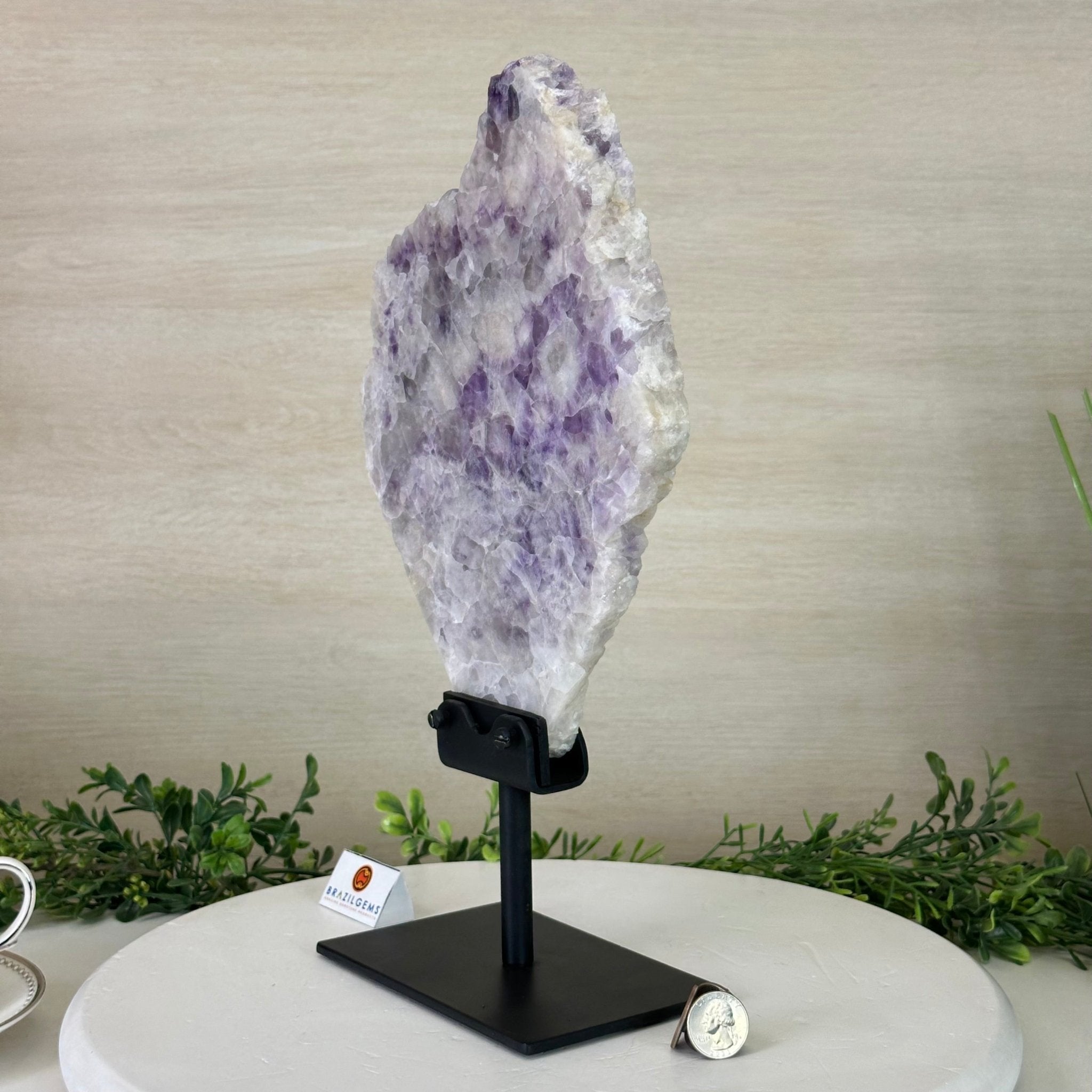 Chevron Amethyst Crystal Slice on a Stand, 5.3 lbs & 14.4" Tall #5621AC - 018 - Brazil GemsBrazil GemsChevron Amethyst Crystal Slice on a Stand, 5.3 lbs & 14.4" Tall #5621AC - 018Slices on Fixed Bases5621AC - 018