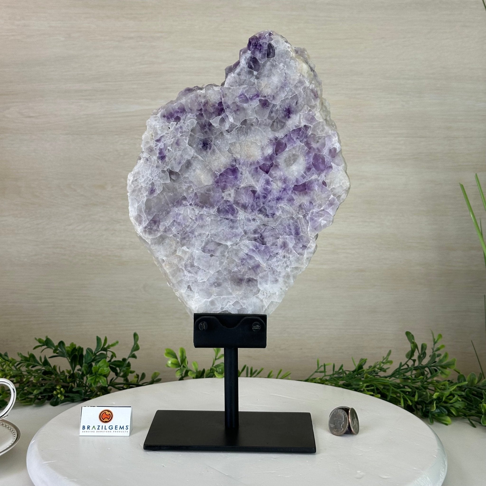 Chevron Amethyst Crystal Slice on a Stand, 5.3 lbs & 14.4" Tall #5621AC - 018 - Brazil GemsBrazil GemsChevron Amethyst Crystal Slice on a Stand, 5.3 lbs & 14.4" Tall #5621AC - 018Slices on Fixed Bases5621AC - 018