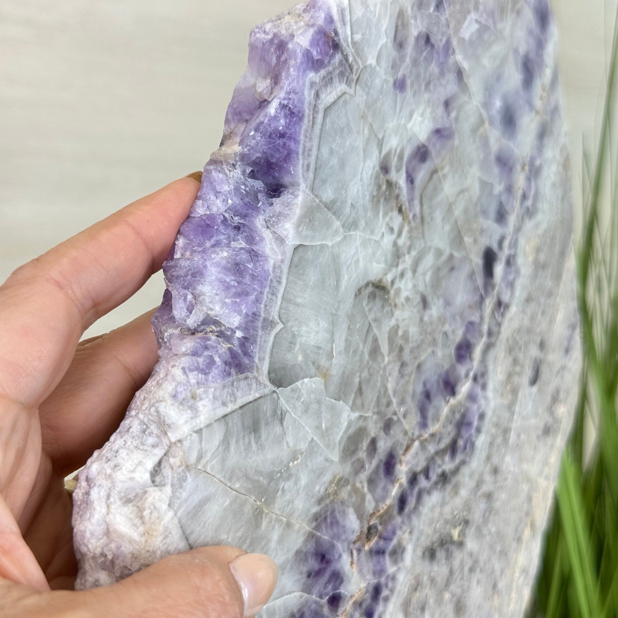 Chevron Amethyst Crystal Slice on a Stand, 9.8 lbs & 17.7" Tall #5621AC - 020 - Brazil GemsBrazil GemsChevron Amethyst Crystal Slice on a Stand, 9.8 lbs & 17.7" Tall #5621AC - 020Slices on Fixed Bases5621AC - 020