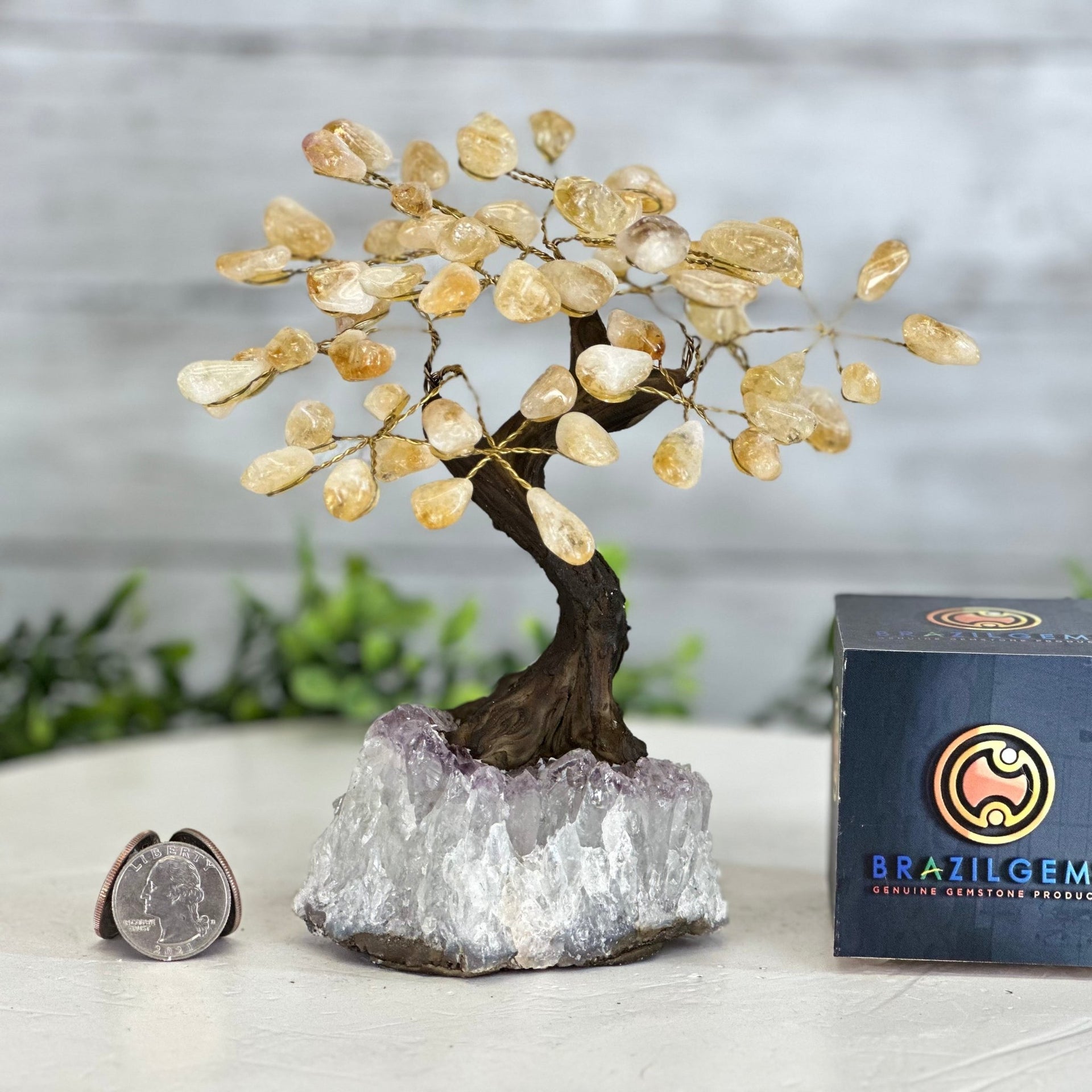 citrine bonsai tree Citrine 7
