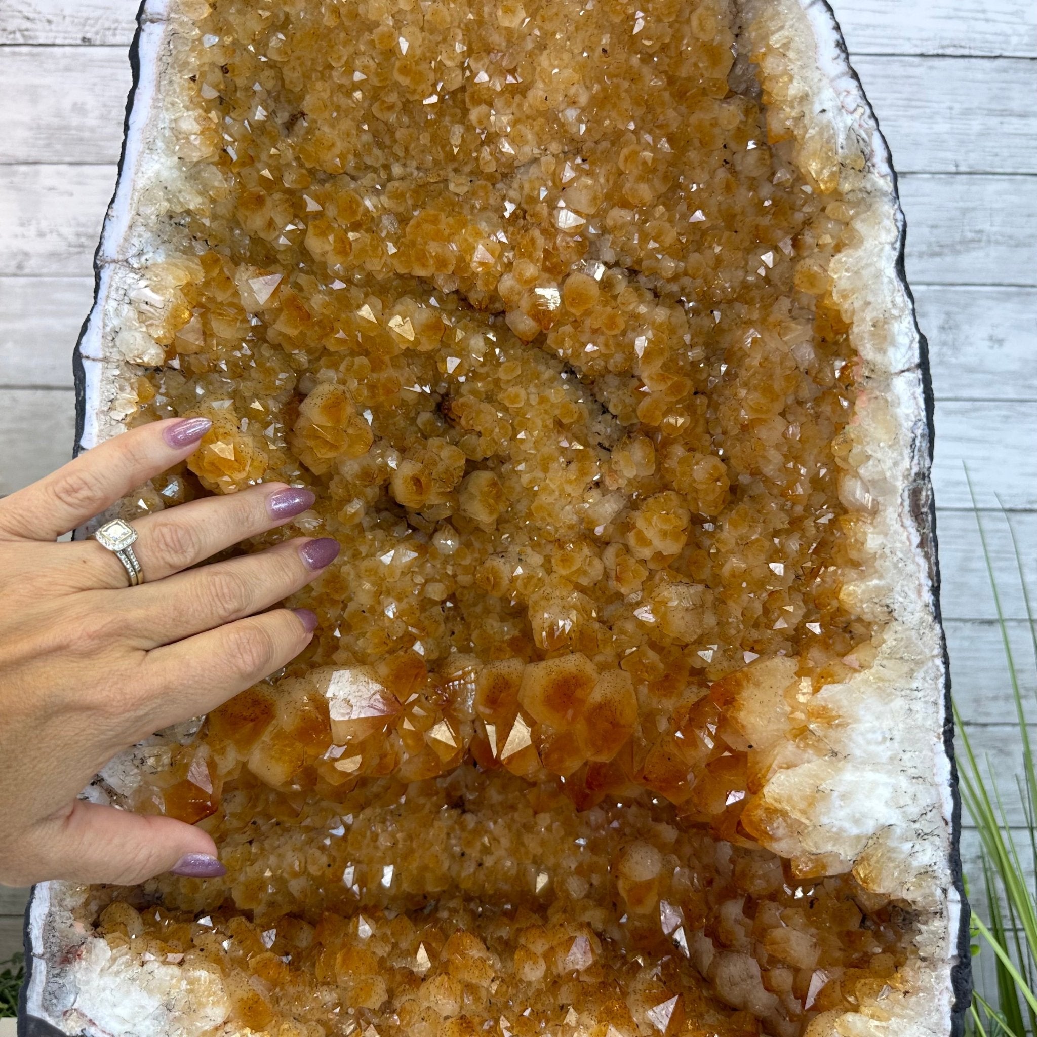 Citrine Cathedral, 76.7 lbs & 23.1" Tall #5603 - 0340 - Brazil GemsBrazil GemsCitrine Cathedral, 76.7 lbs & 23.1" Tall #5603 - 0340Cathedrals5603 - 0340