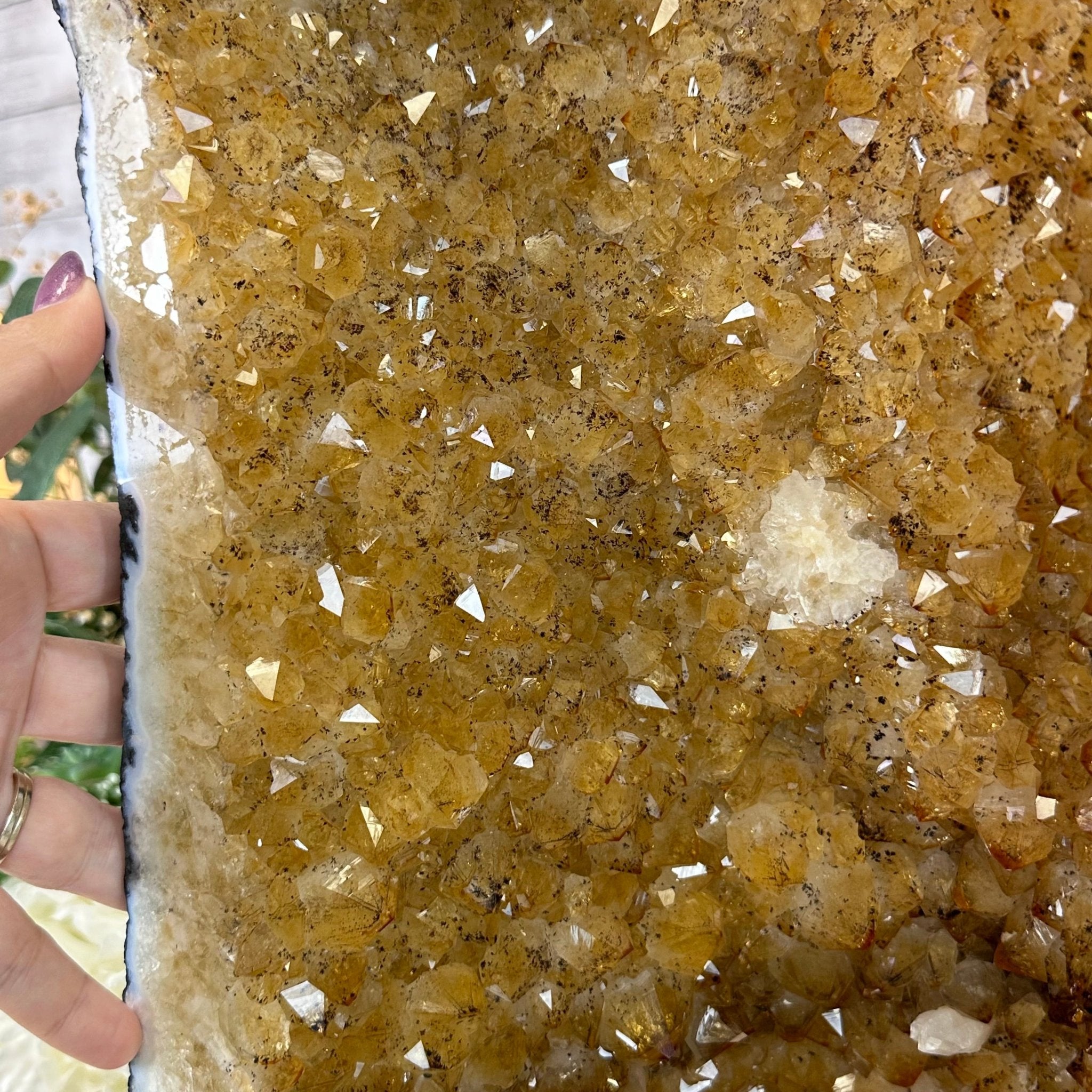 Citrine Cathedral, 87.4 lbs & 22.1" Tall #5603 - 0342 - Brazil GemsBrazil GemsCitrine Cathedral, 87.4 lbs & 22.1" Tall #5603 - 0342Cathedrals5603 - 0342