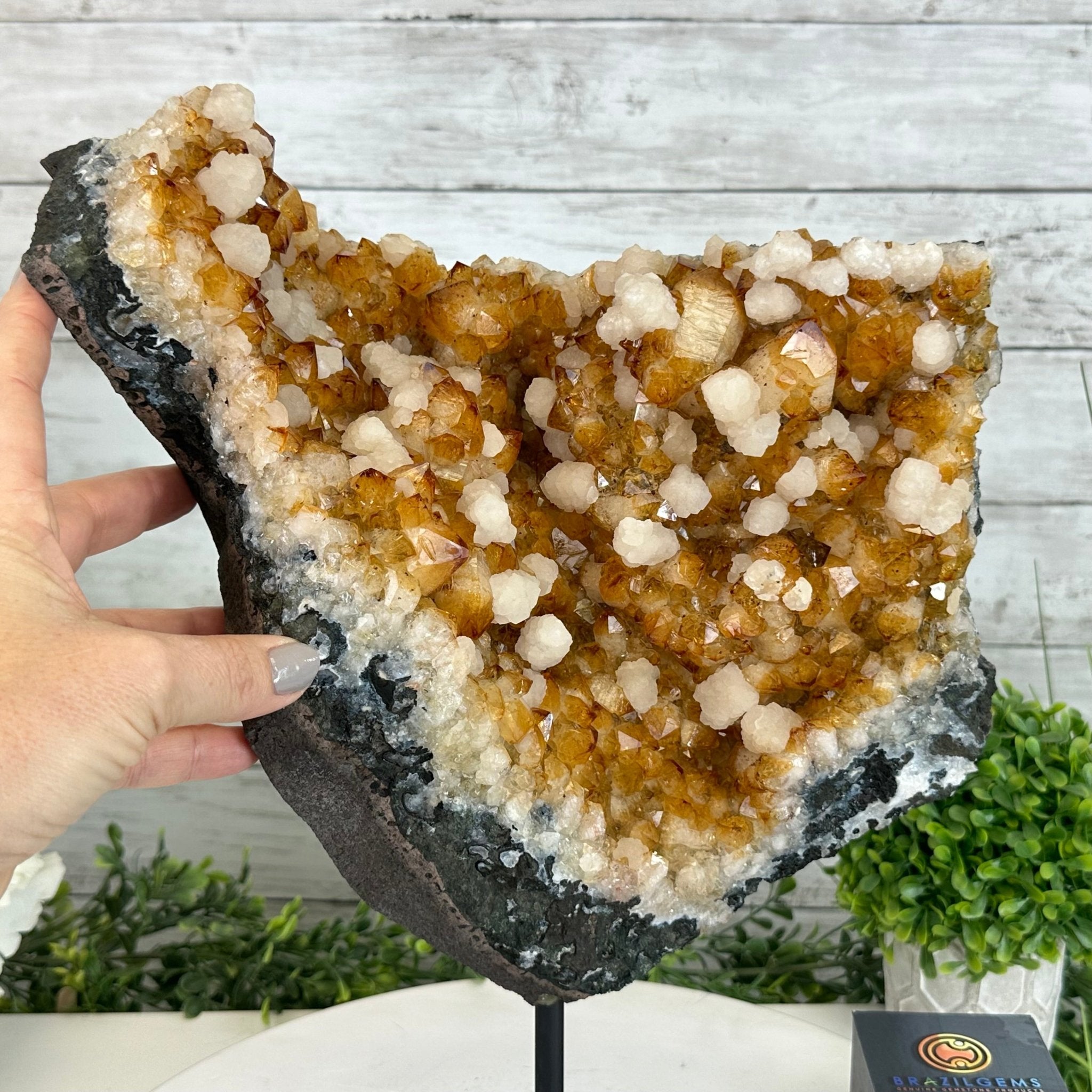 Citrine on sale Cluster from Brazil Gemstone/ Natural Stone