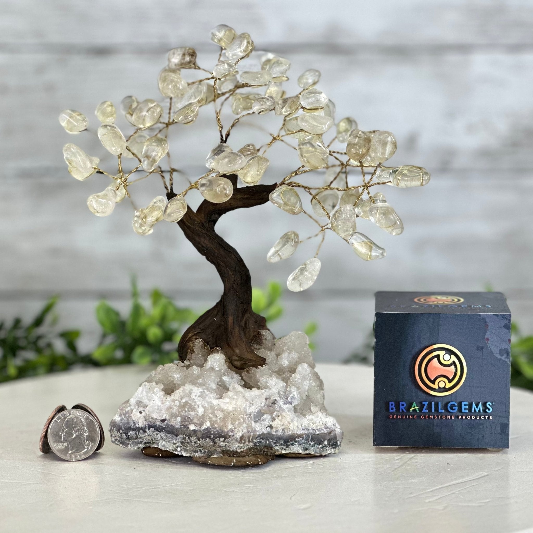 Shop Clear Quartz Crystals - Brazil Gems