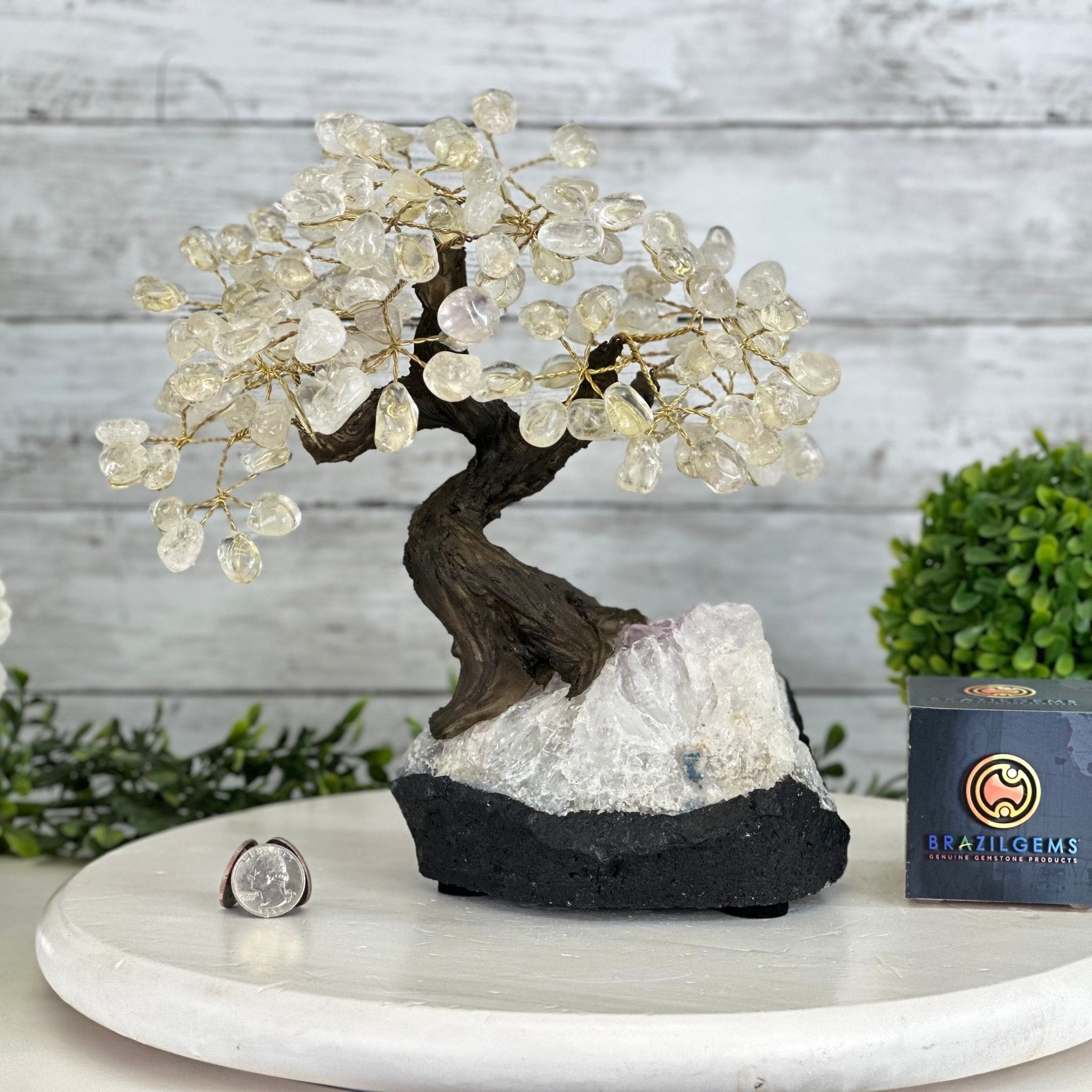 Sodalite on fashion Clear Quartz Tree