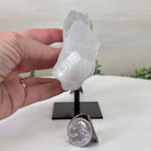 Clear Quartz Crystal Point on a Metal Stand, 1.1 lbs & 4.5" Tall #3122CQ - 021 - Brazil GemsBrazil GemsClear Quartz Crystal Point on a Metal Stand, 1.1 lbs & 4.5" Tall #3122CQ - 021Crystal Points3122CQ - 021