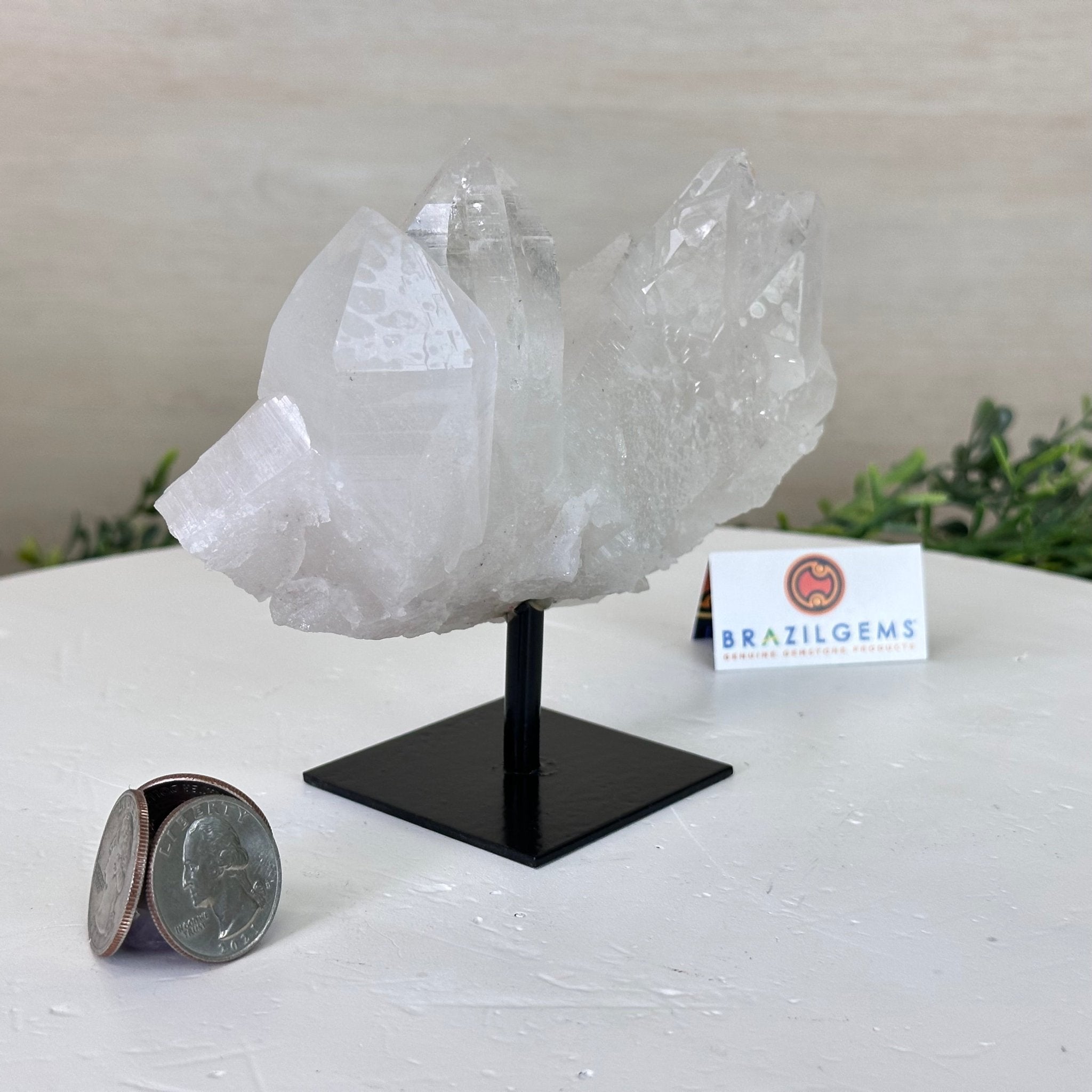 Clear Quartz Crystal Point on a Metal Stand, 1.1 lbs & 4.5" Tall #3122CQ - 021 - Brazil GemsBrazil GemsClear Quartz Crystal Point on a Metal Stand, 1.1 lbs & 4.5" Tall #3122CQ - 021Crystal Points3122CQ - 021