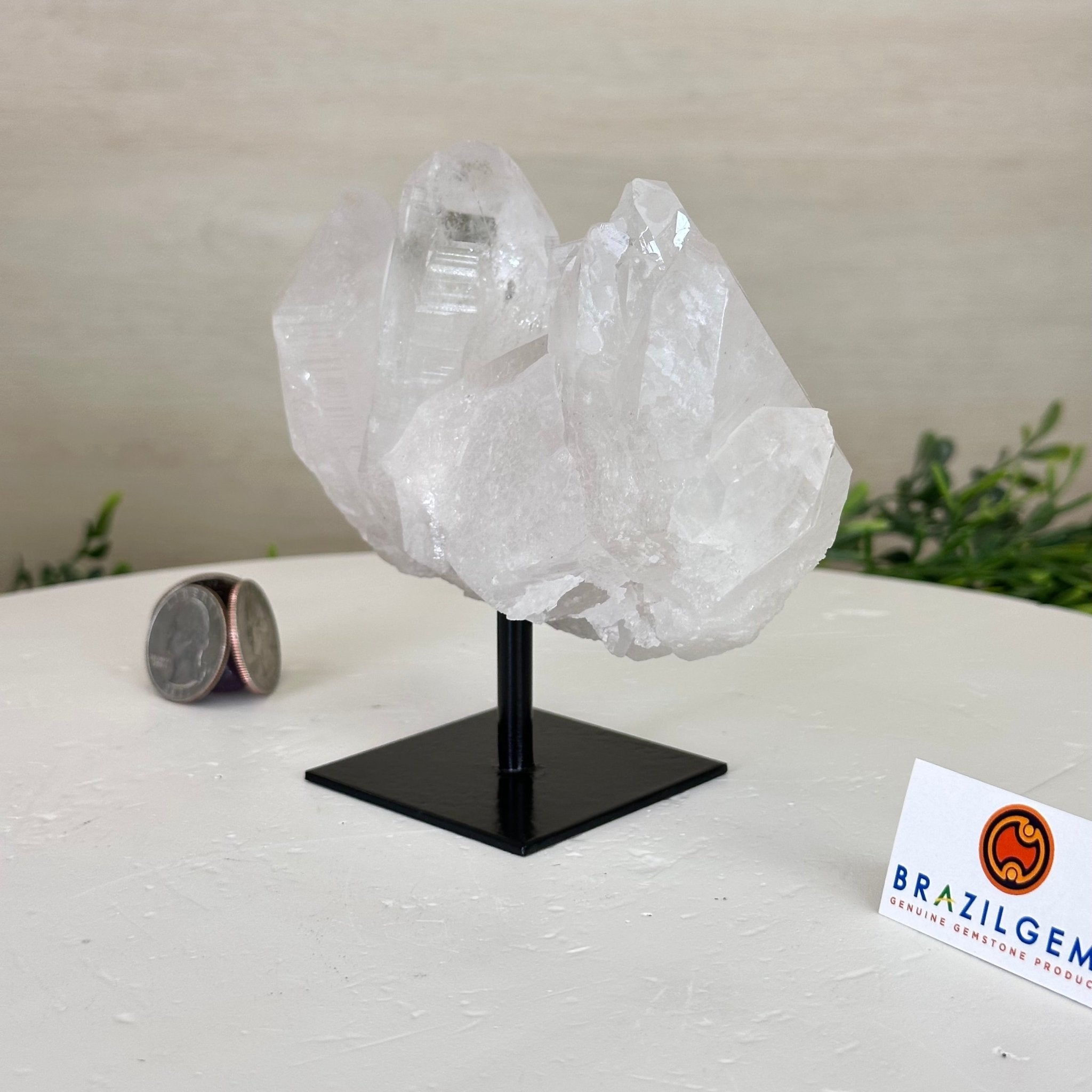 Clear Quartz Crystal Point on a Metal Stand, 1.1 lbs & 4.5" Tall #3122CQ - 021 - Brazil GemsBrazil GemsClear Quartz Crystal Point on a Metal Stand, 1.1 lbs & 4.5" Tall #3122CQ - 021Crystal Points3122CQ - 021