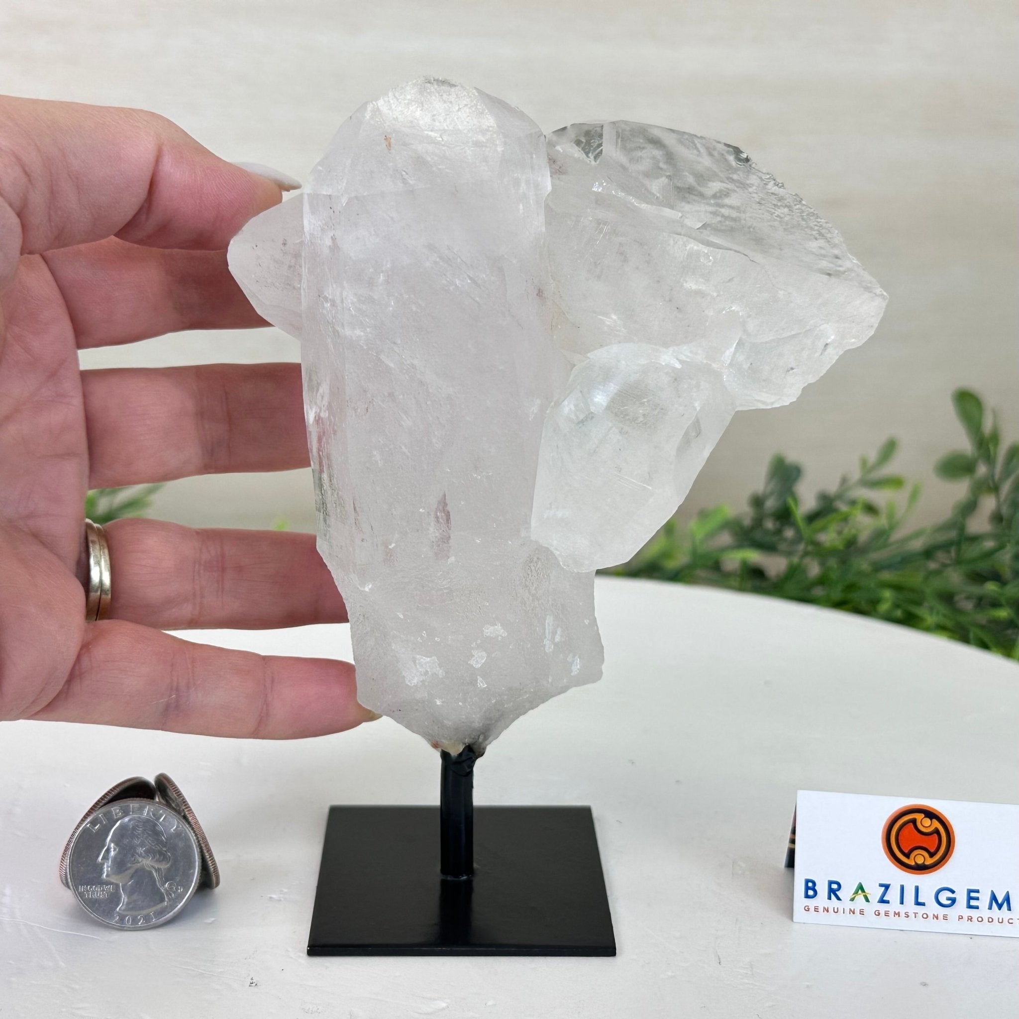 Clear Quartz Crystal Point on a Metal Stand, 1.4 lbs & 6" Tall #3122CQ - 013 - Brazil GemsBrazil GemsClear Quartz Crystal Point on a Metal Stand, 1.4 lbs & 6" Tall #3122CQ - 013Crystal Points3122CQ - 013