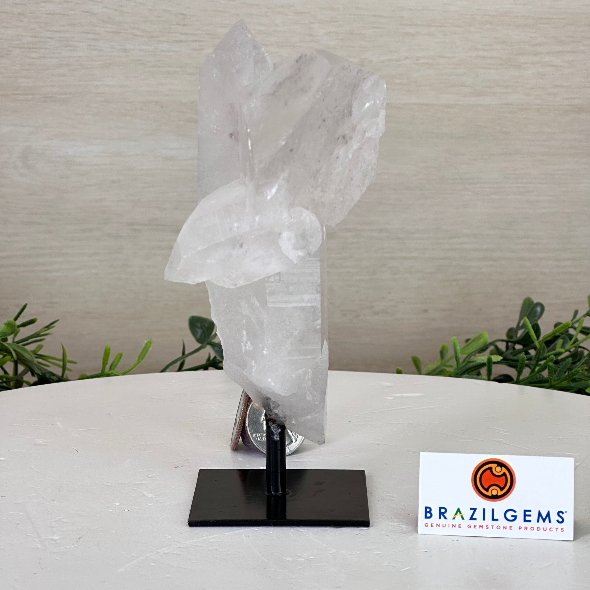 Clear Quartz Crystal Point on a Metal Stand, 1.4 lbs & 6" Tall #3122CQ - 013 - Brazil GemsBrazil GemsClear Quartz Crystal Point on a Metal Stand, 1.4 lbs & 6" Tall #3122CQ - 013Crystal Points3122CQ - 013