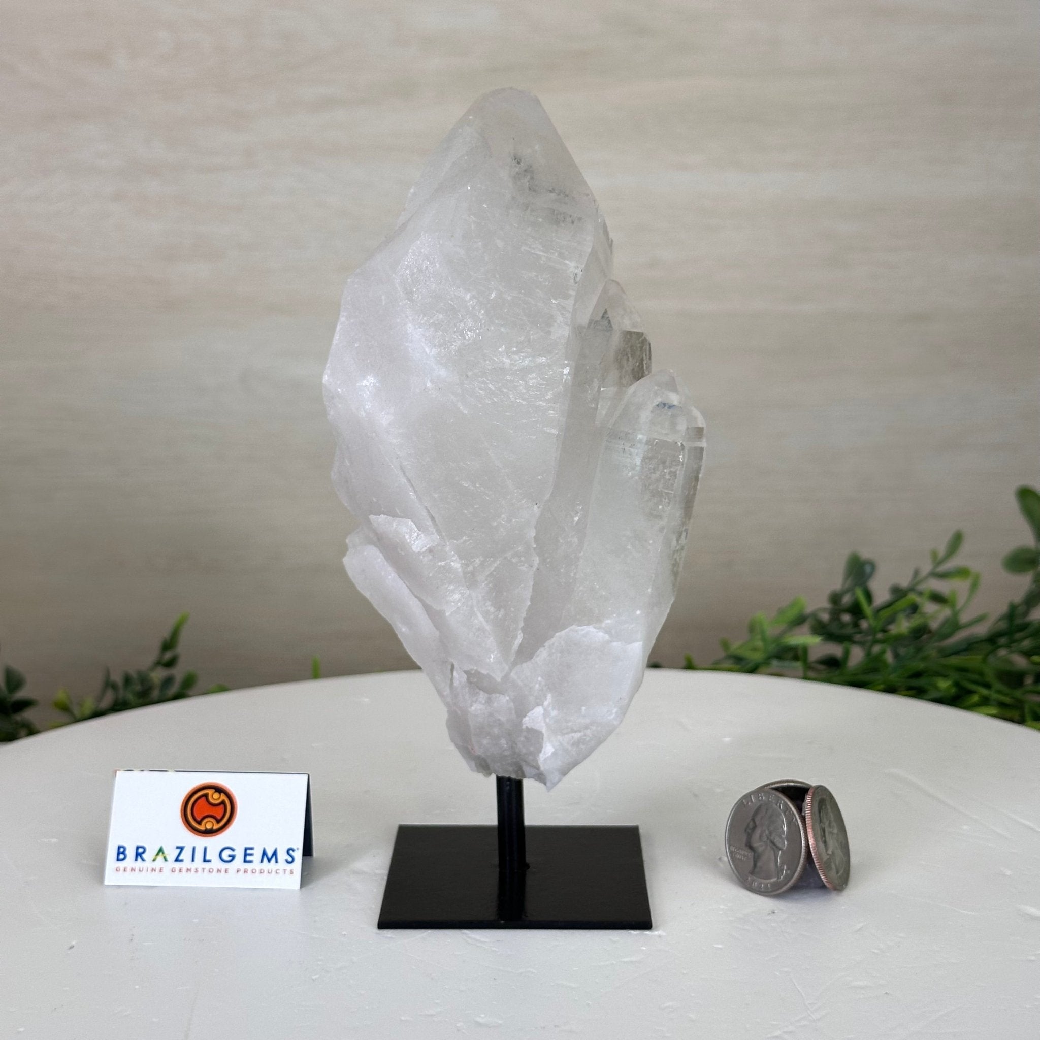 Clear Quartz Crystal Point on a Metal Stand, 1.8 lbs & 7.2" Tall #3122CQ - 022 - Brazil GemsBrazil GemsClear Quartz Crystal Point on a Metal Stand, 1.8 lbs & 7.2" Tall #3122CQ - 022Crystal Points3122CQ - 022