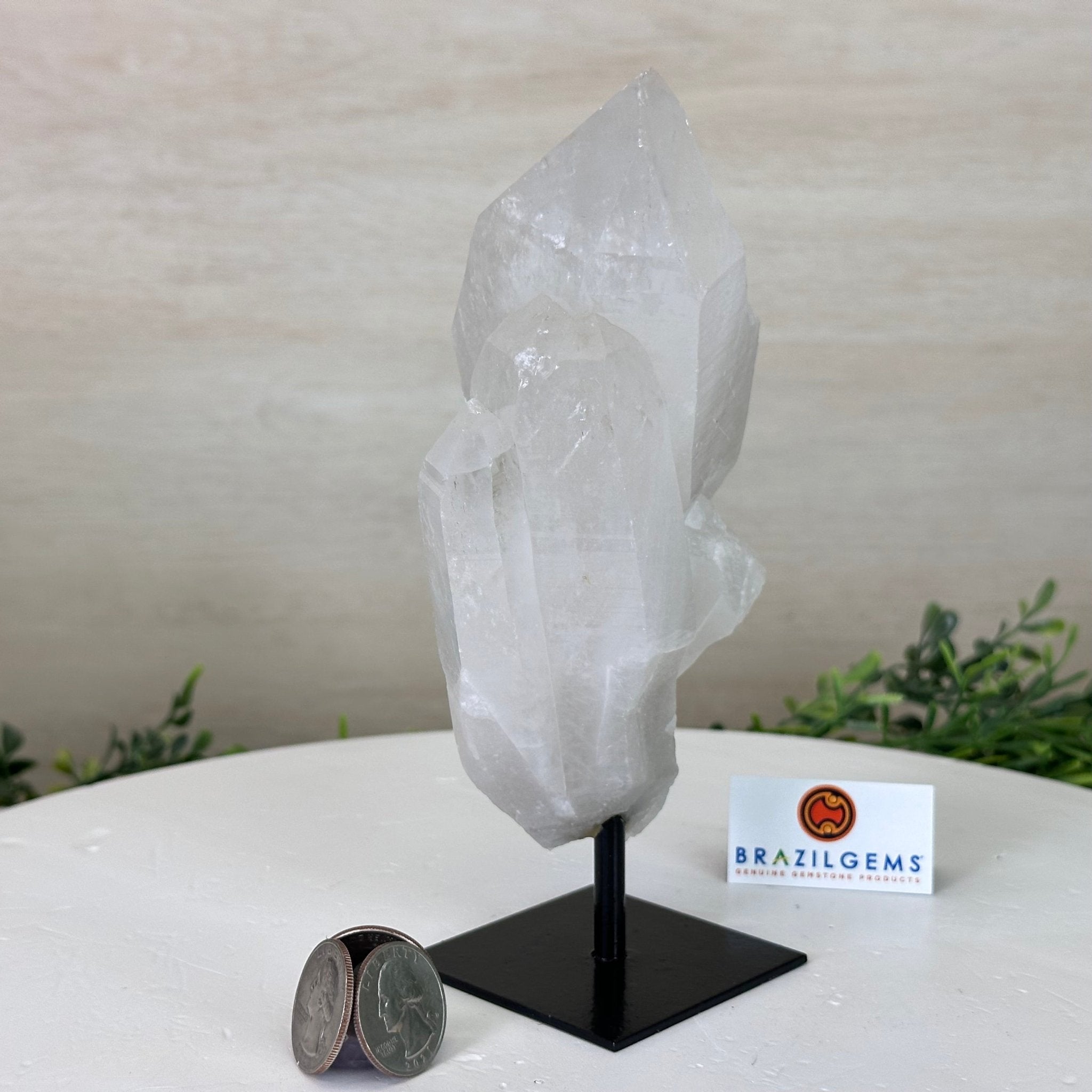 Clear Quartz Crystal Point on a Metal Stand, 1.8 lbs & 7.2" Tall #3122CQ - 022 - Brazil GemsBrazil GemsClear Quartz Crystal Point on a Metal Stand, 1.8 lbs & 7.2" Tall #3122CQ - 022Crystal Points3122CQ - 022