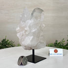 Clear Quartz Crystal Point on a Metal Stand, 2.4 lbs & 6.5" Tall #3122CQ - 015 - Brazil GemsBrazil GemsClear Quartz Crystal Point on a Metal Stand, 2.4 lbs & 6.5" Tall #3122CQ - 015Crystal Points3122CQ - 015