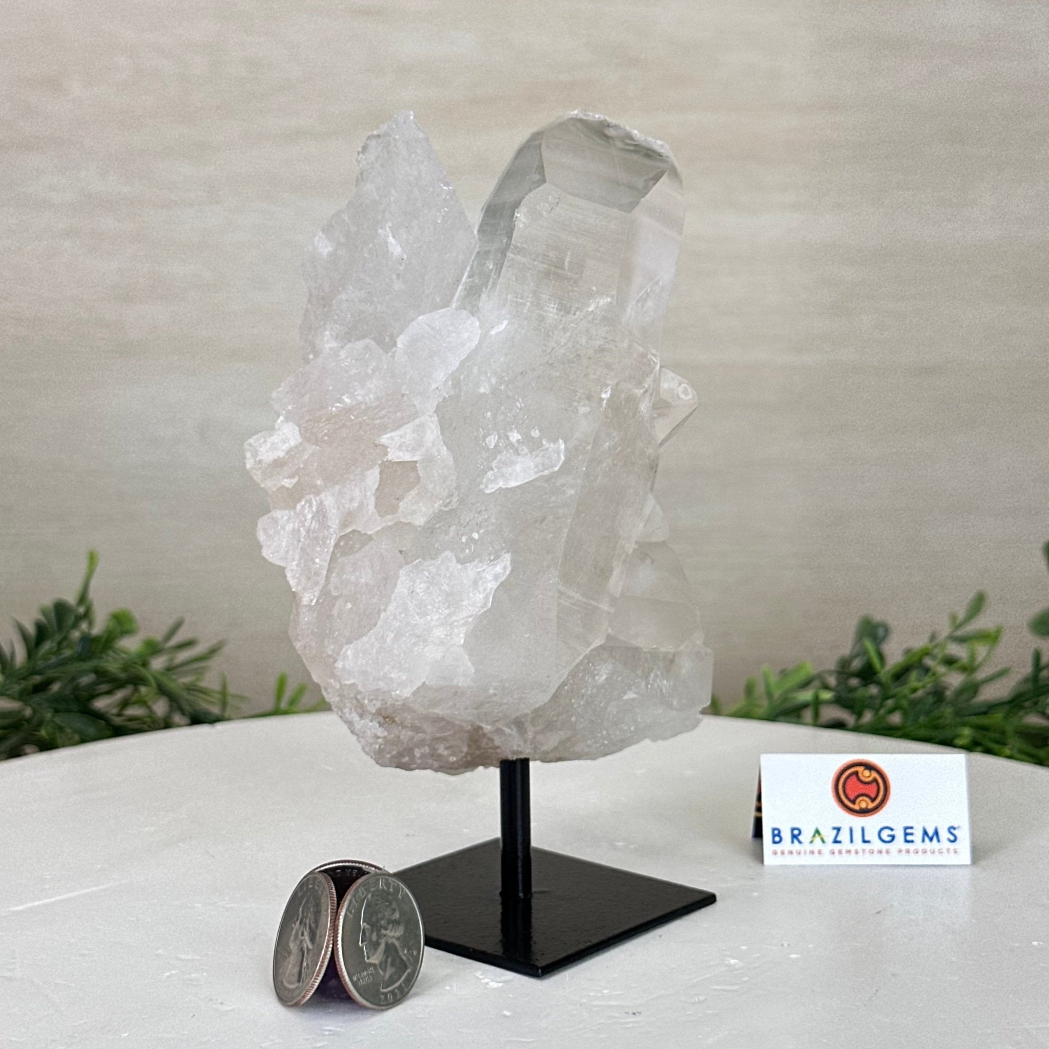 Clear Quartz Crystal Point on a Metal Stand, 2.4 lbs & 6.5" Tall #3122CQ - 015 - Brazil GemsBrazil GemsClear Quartz Crystal Point on a Metal Stand, 2.4 lbs & 6.5" Tall #3122CQ - 015Crystal Points3122CQ - 015