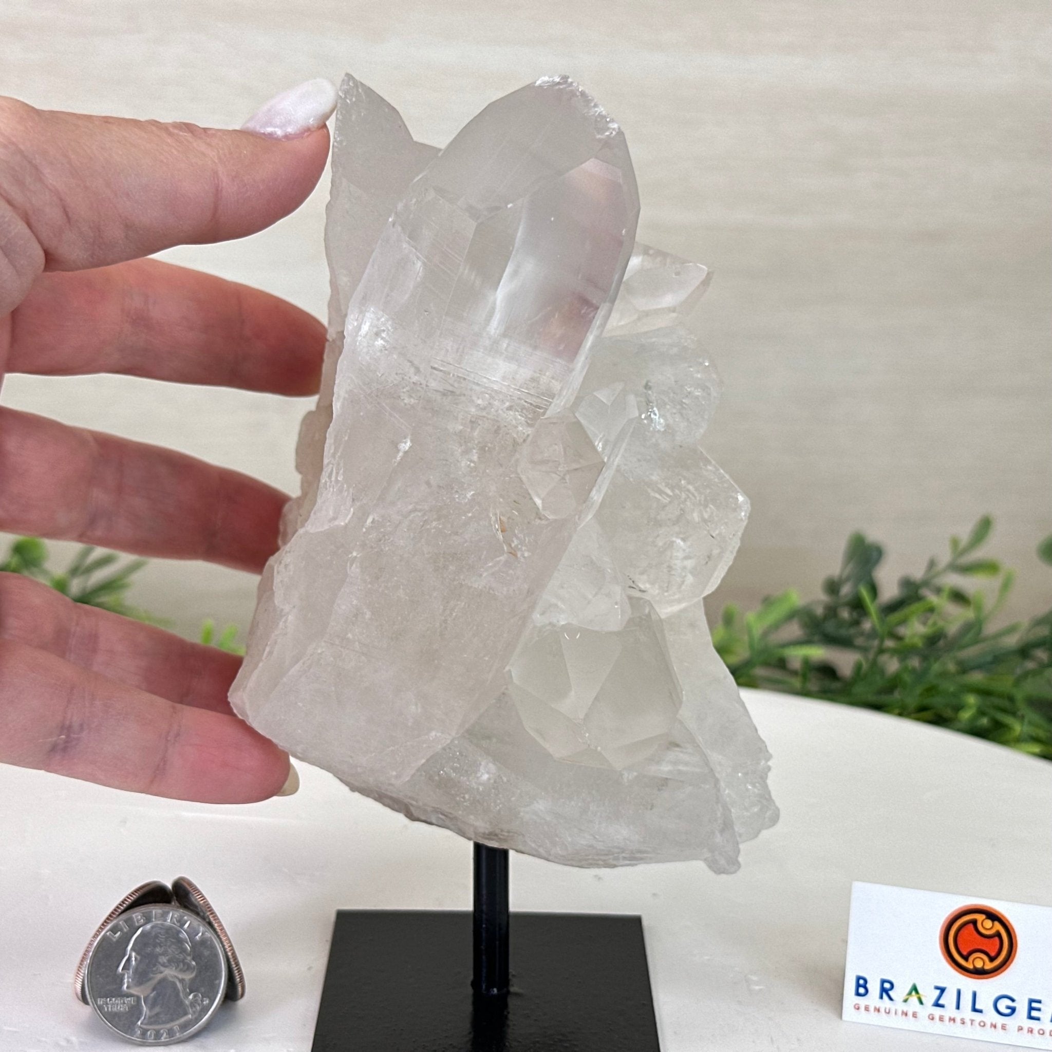 Clear Quartz Crystal Point on a Metal Stand, 2.4 lbs & 6.5" Tall #3122CQ - 015 - Brazil GemsBrazil GemsClear Quartz Crystal Point on a Metal Stand, 2.4 lbs & 6.5" Tall #3122CQ - 015Crystal Points3122CQ - 015