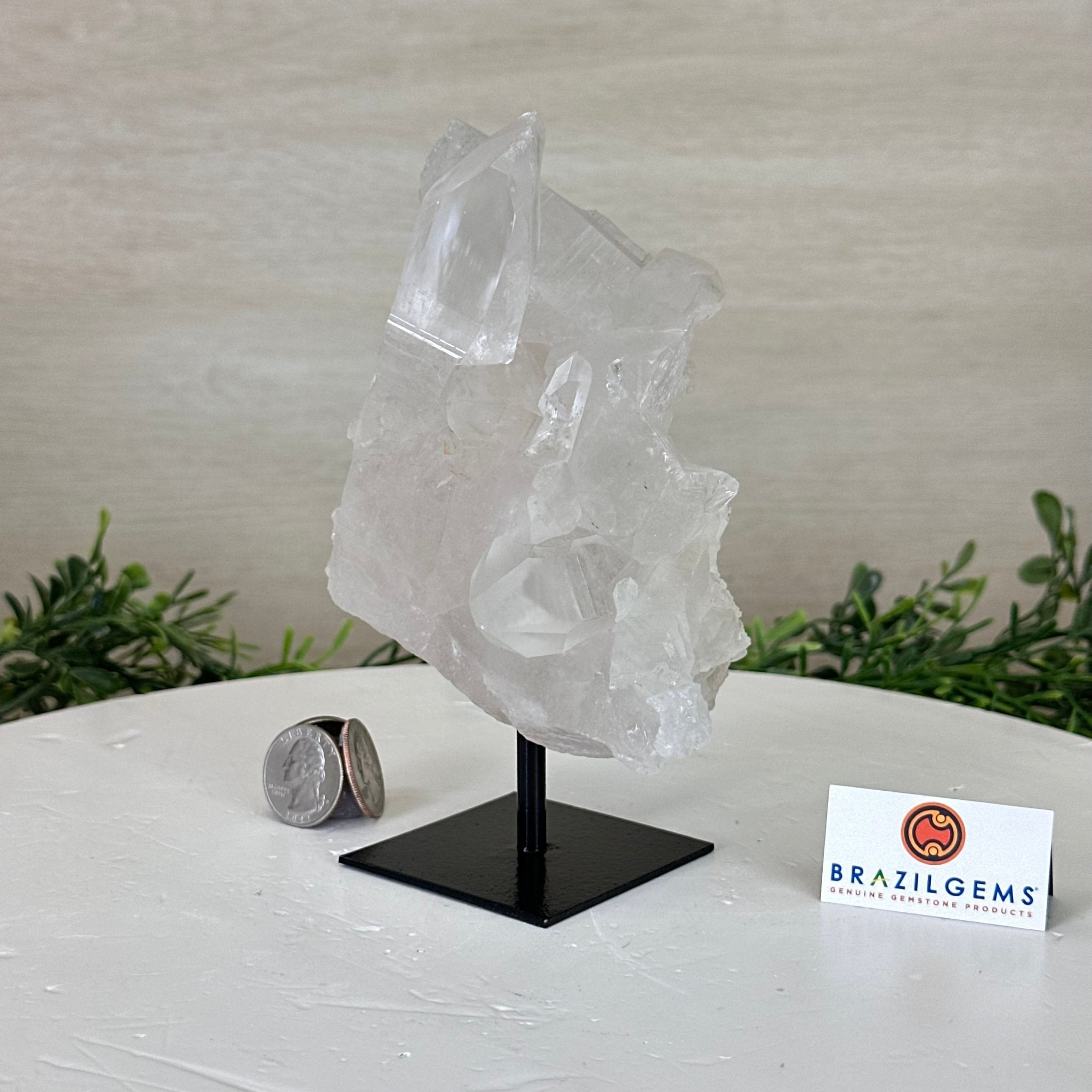 Clear Quartz Crystal Point on a Metal Stand, 2.4 lbs & 6.5" Tall #3122CQ - 015 - Brazil GemsBrazil GemsClear Quartz Crystal Point on a Metal Stand, 2.4 lbs & 6.5" Tall #3122CQ - 015Crystal Points3122CQ - 015